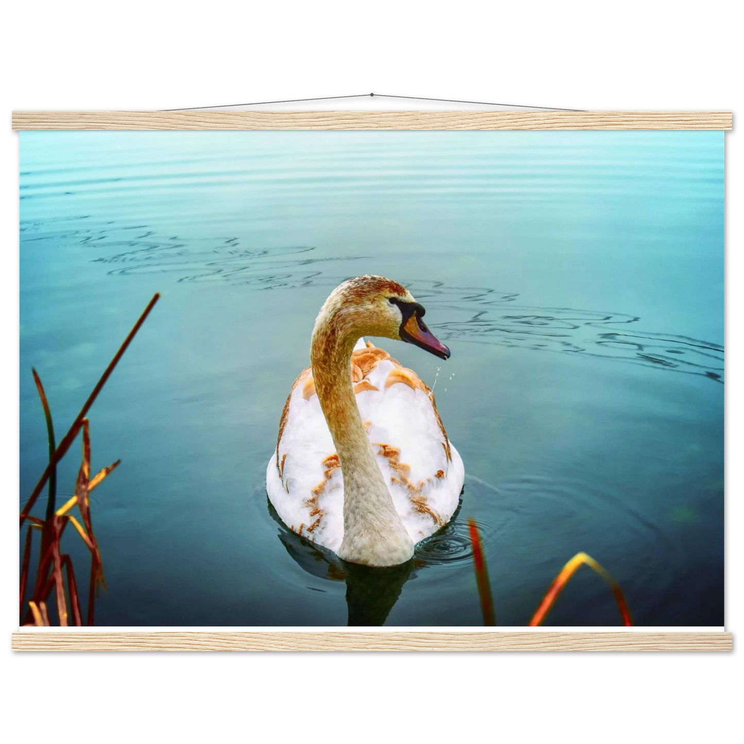 1fed6760-1db3-45c8-aa62-7d11300a9733