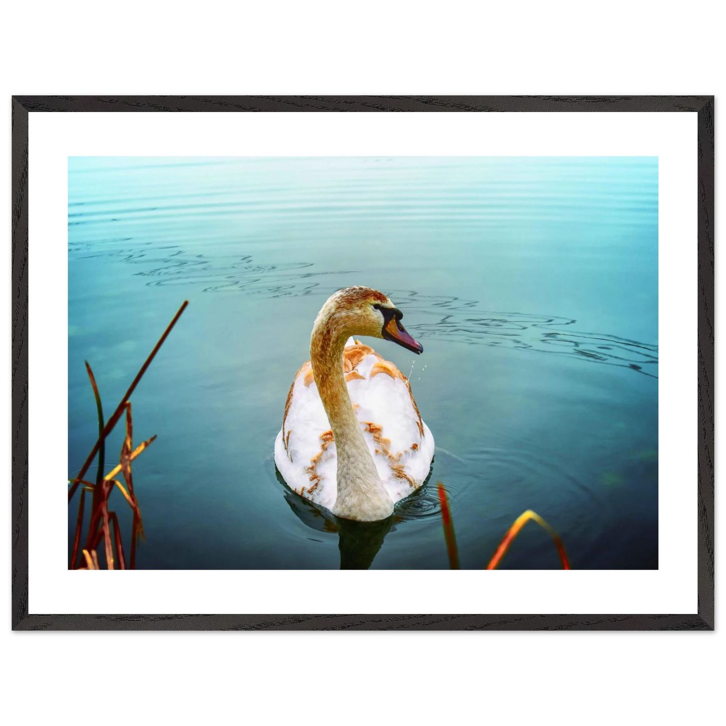 20be4cd8-a798-4b8f-a49b-54df7546b90b