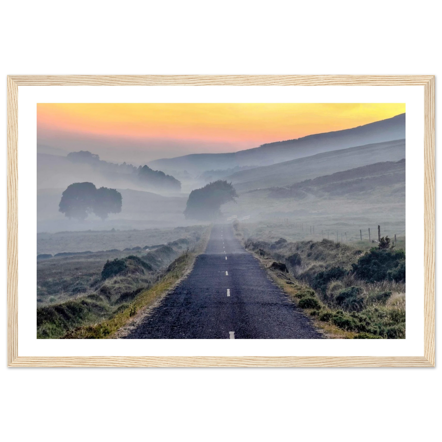 20e81be2-9e8b-4640-a59b-902ca4a9fabf