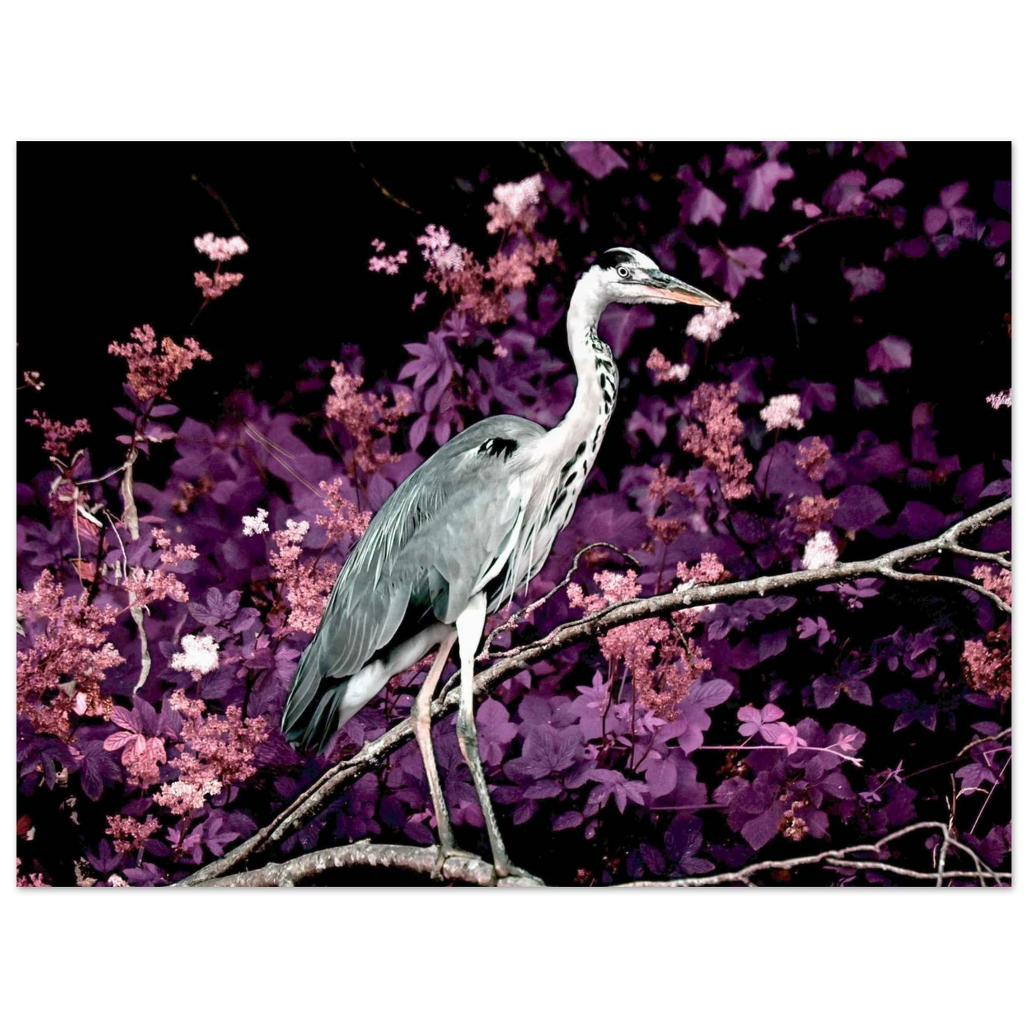 2113347a-0714-4805-972e-366ed4e46263