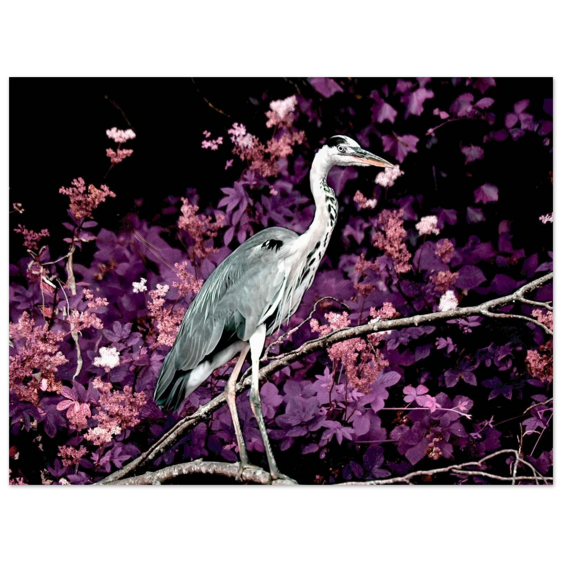 2113347a-0714-4805-972e-366ed4e46263