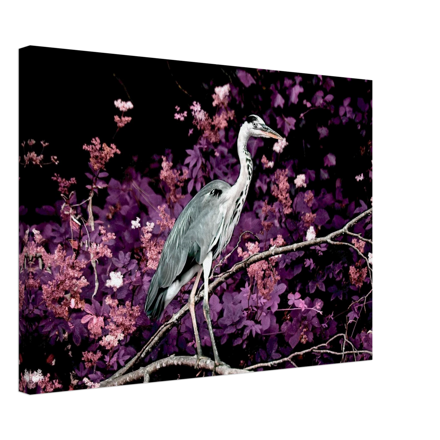 215e3dfe-d91e-4ff0-ab6f-63328b2d52b7