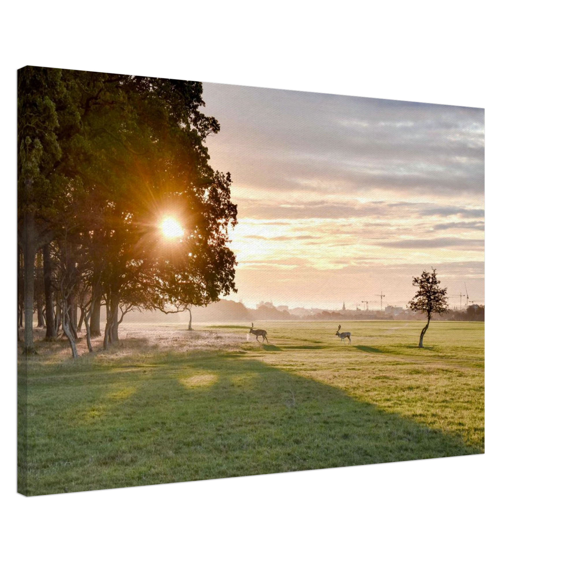 21724d28-a051-4326-bd7d-643ee83a21a9