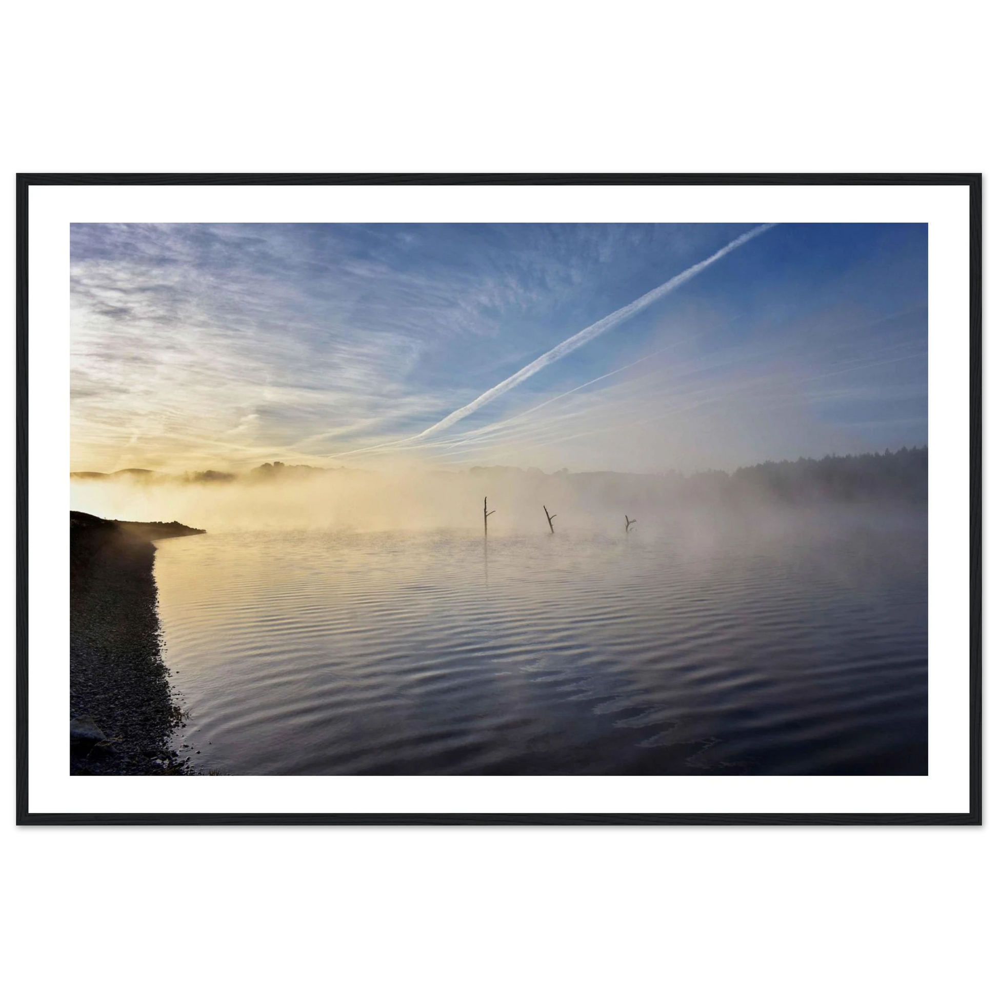 219d7e88-e810-4d1f-8dca-74c4b424067d