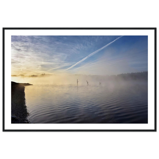 219d7e88-e810-4d1f-8dca-74c4b424067d