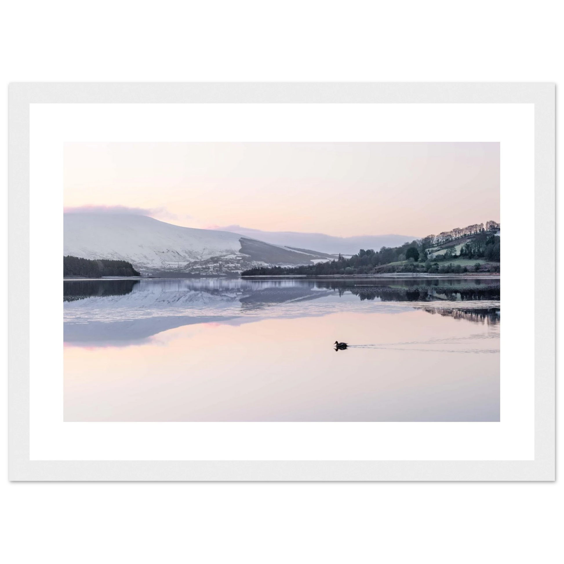 222cd7d9-adb7-4bf8-9d74-bc3bdcf6fa06