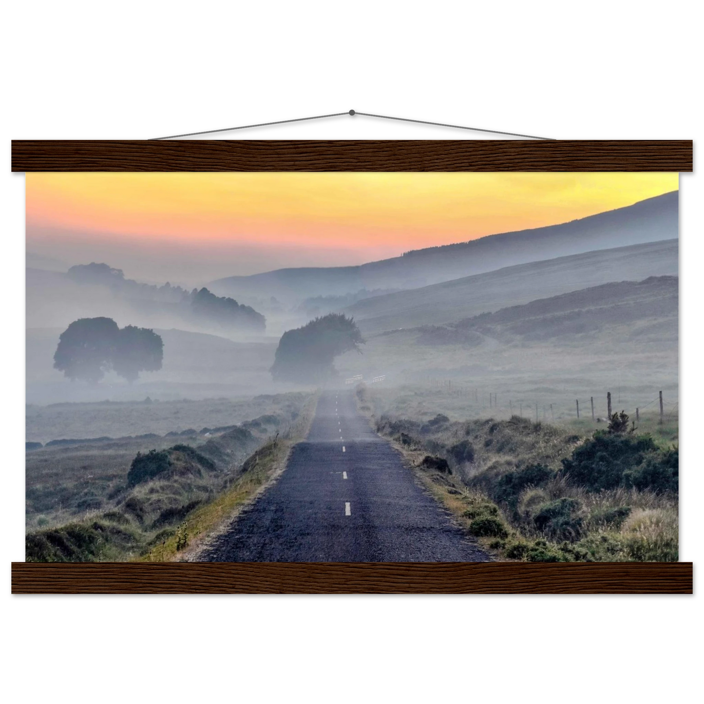 2243d58b-7cc4-4df3-b184-30c89f4a8c59