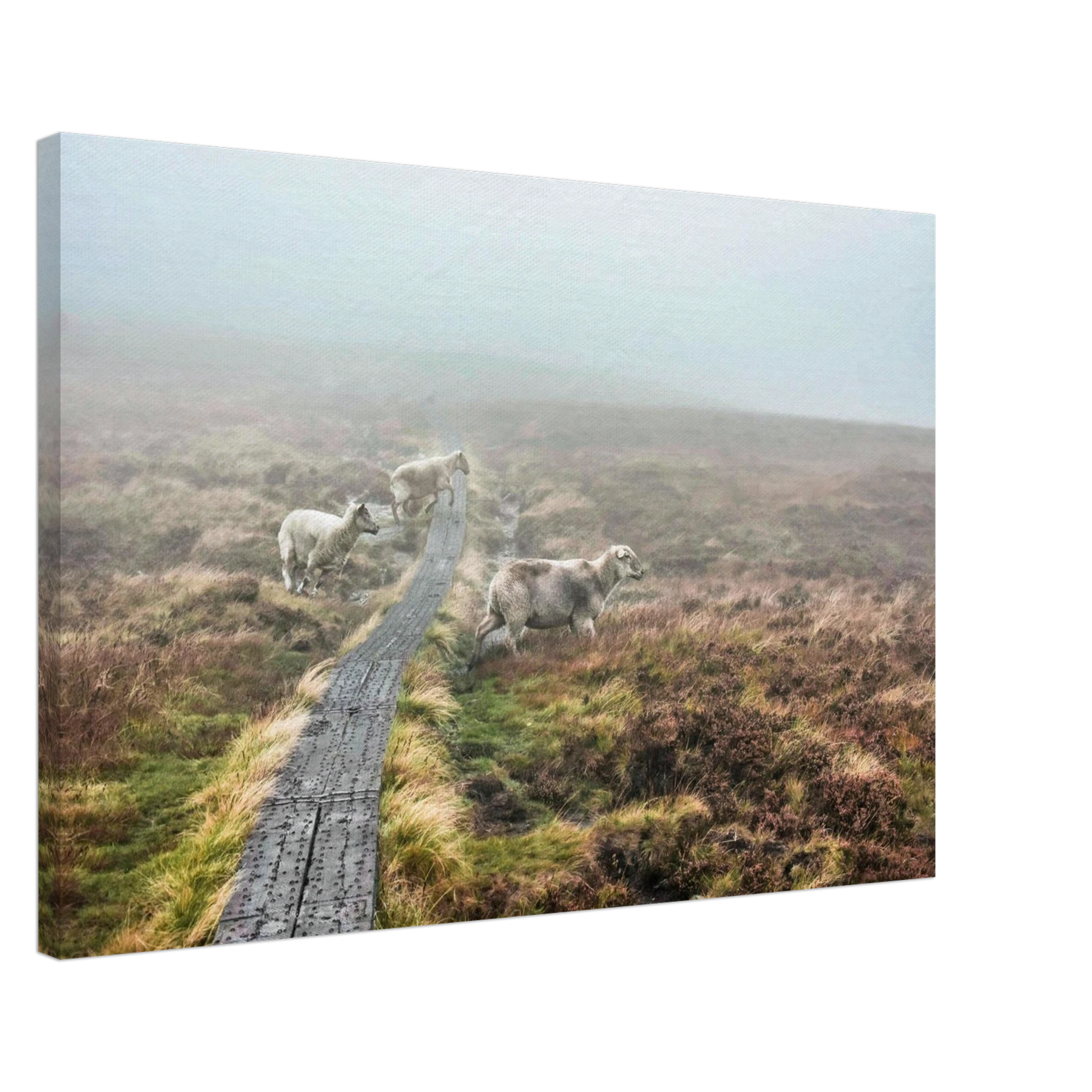 23963dcc-5fcd-45be-b336-25a6e2e92637