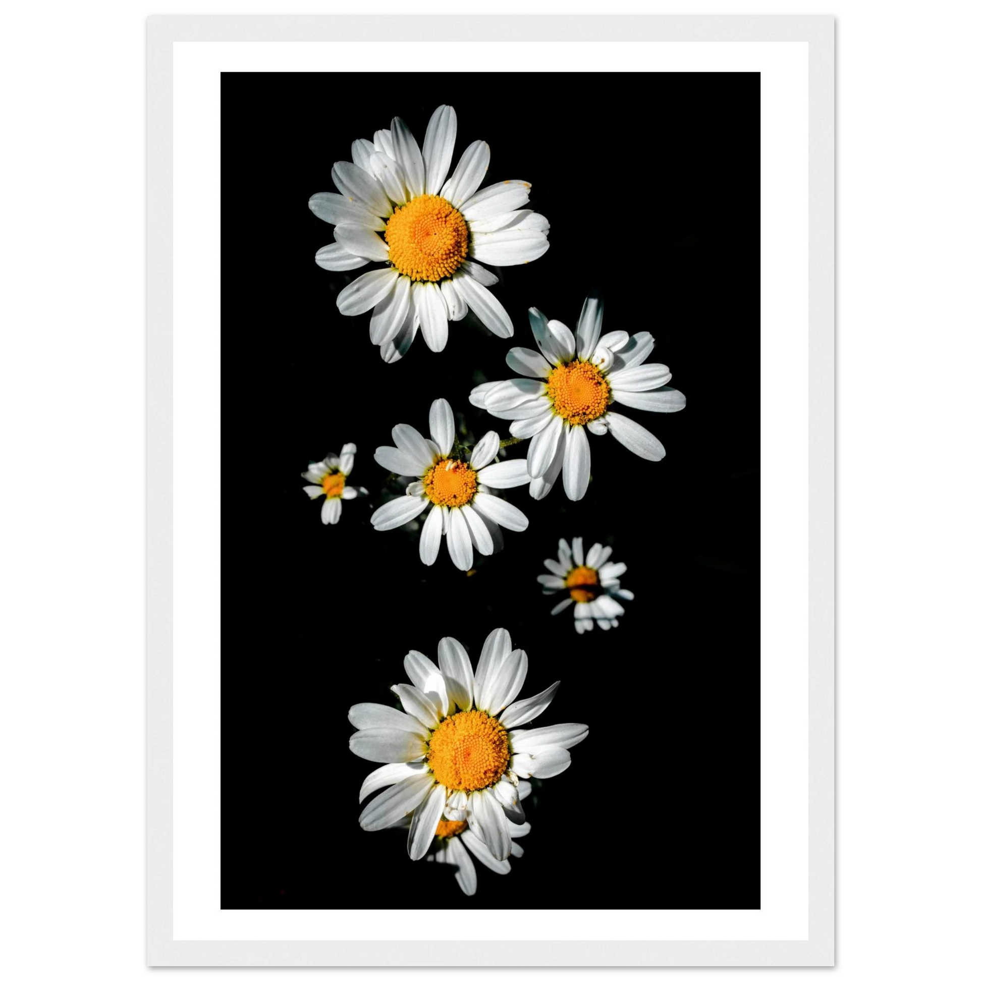 240c3cf0-7303-4ae5-b9b3-01e6e6890359