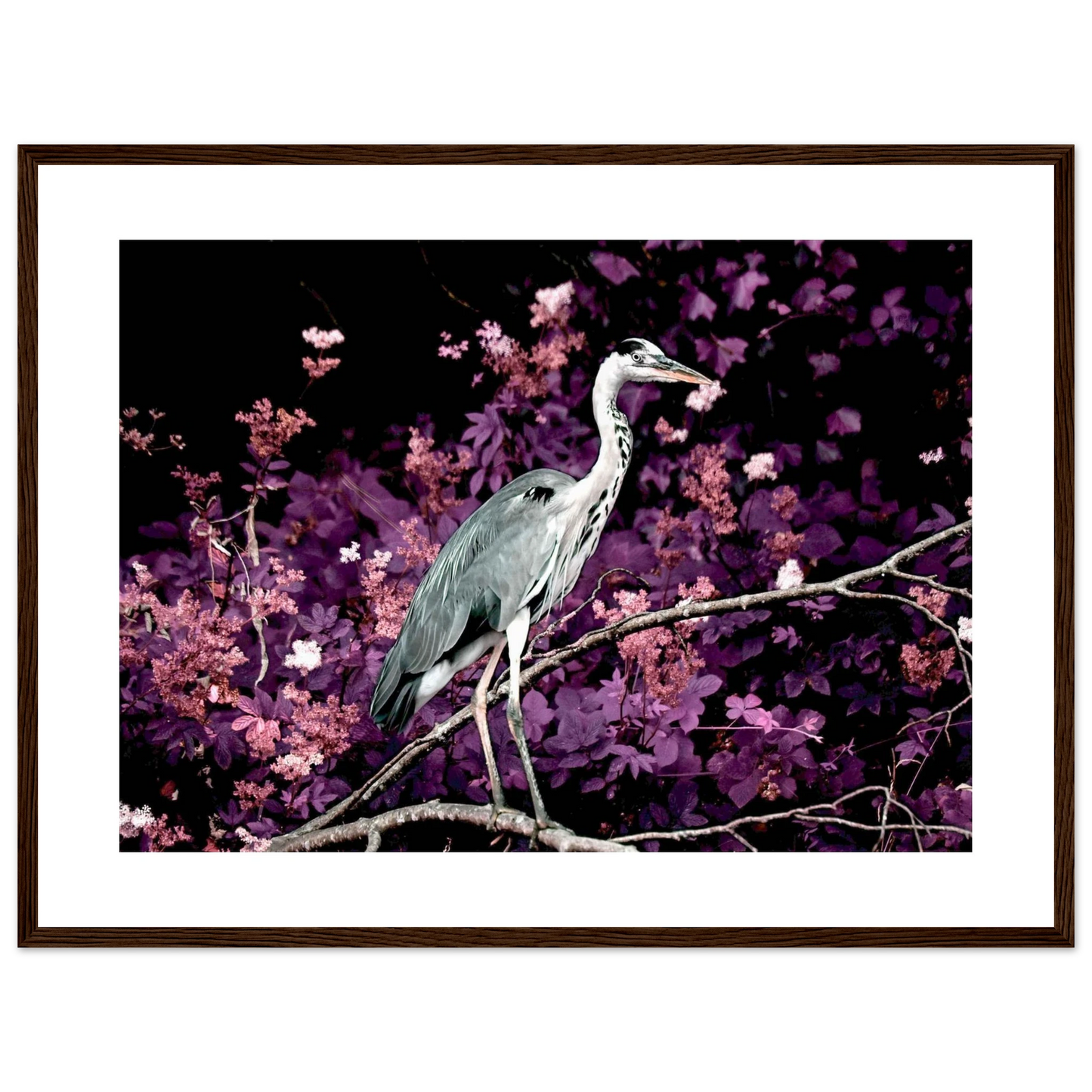 242fd590-fbeb-4589-bfde-1a91443c3ec1