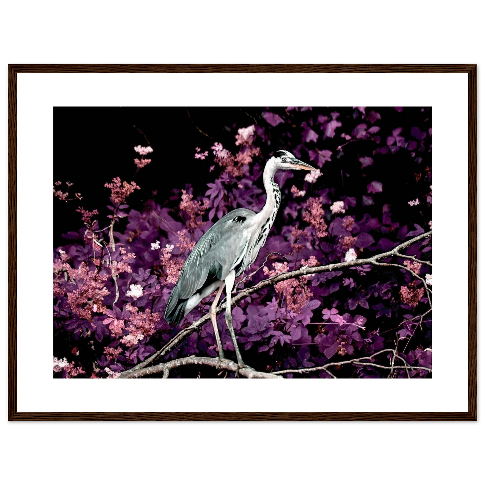 242fd590-fbeb-4589-bfde-1a91443c3ec1