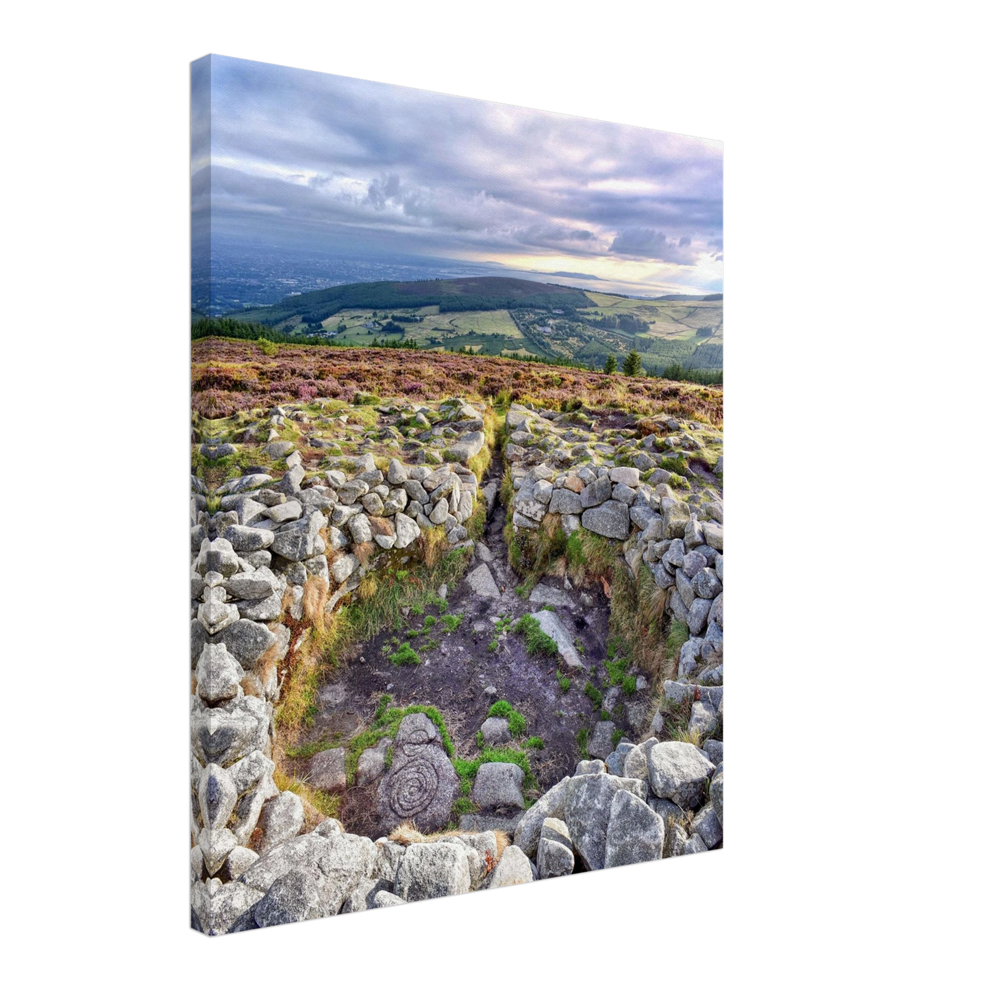 2430d8ce-6803-4cdb-bda4-269f20ea32d4