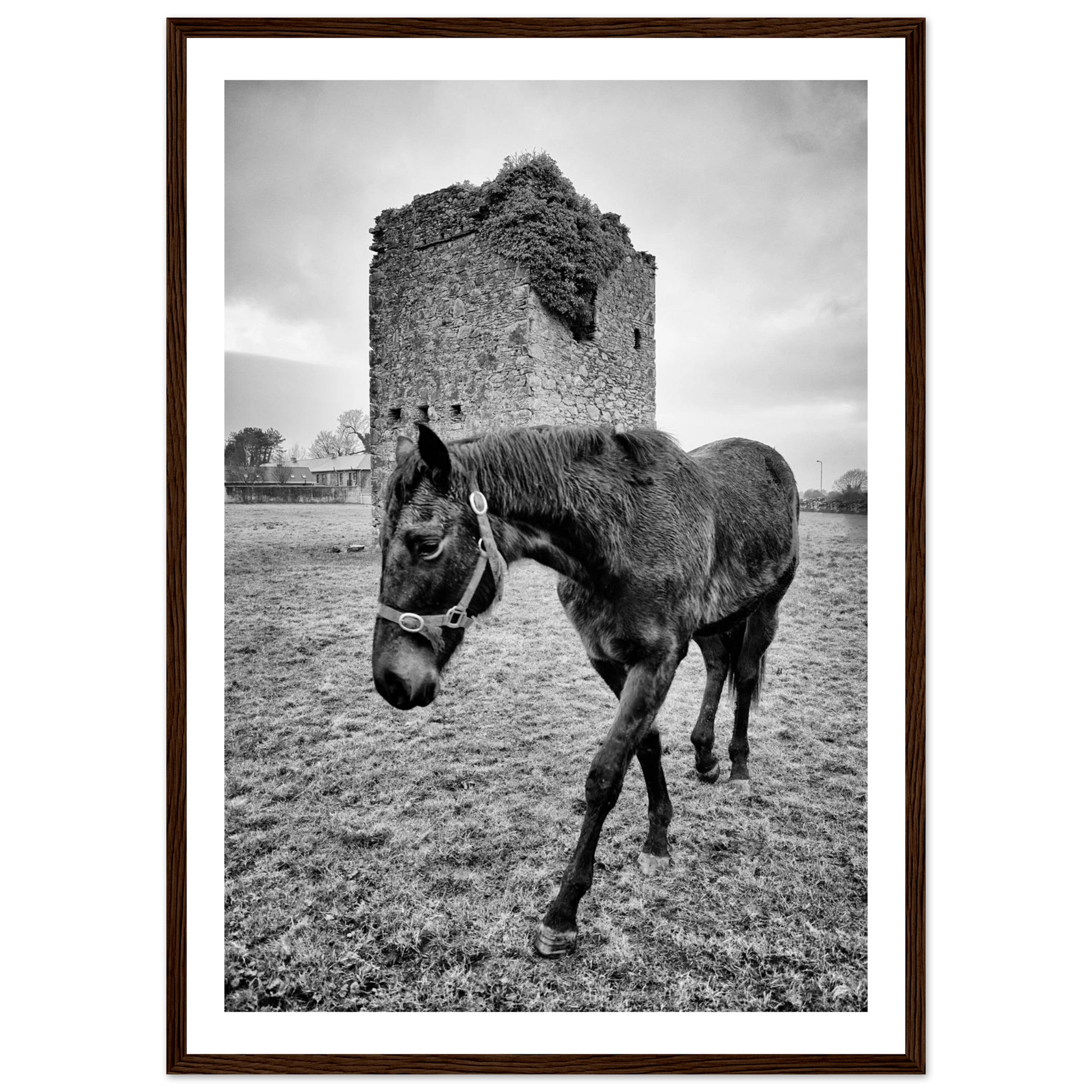 2455cabd-684c-41b8-8d14-7e18b464497a