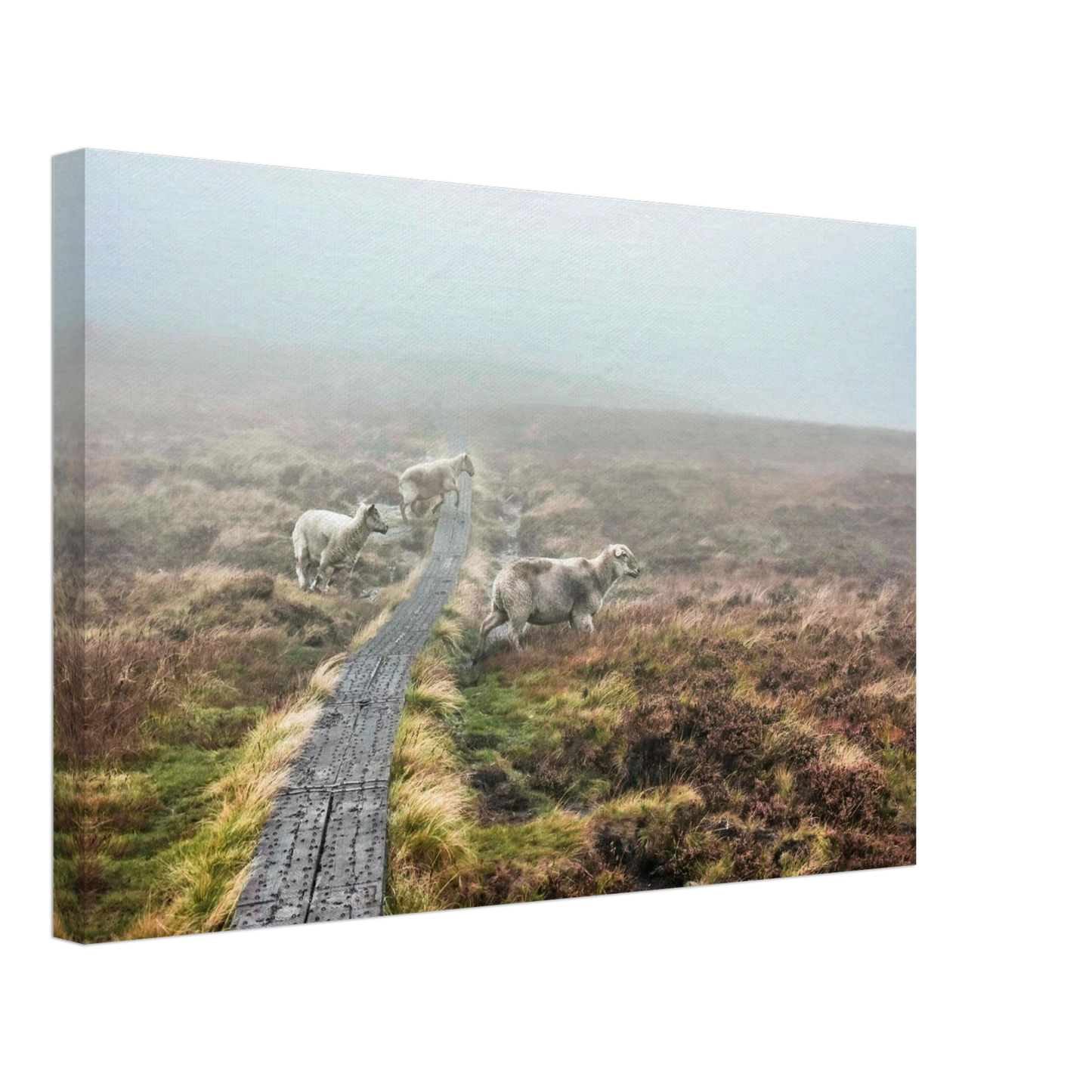 2457a3ee-5d03-4dd1-aa51-e223859241a3