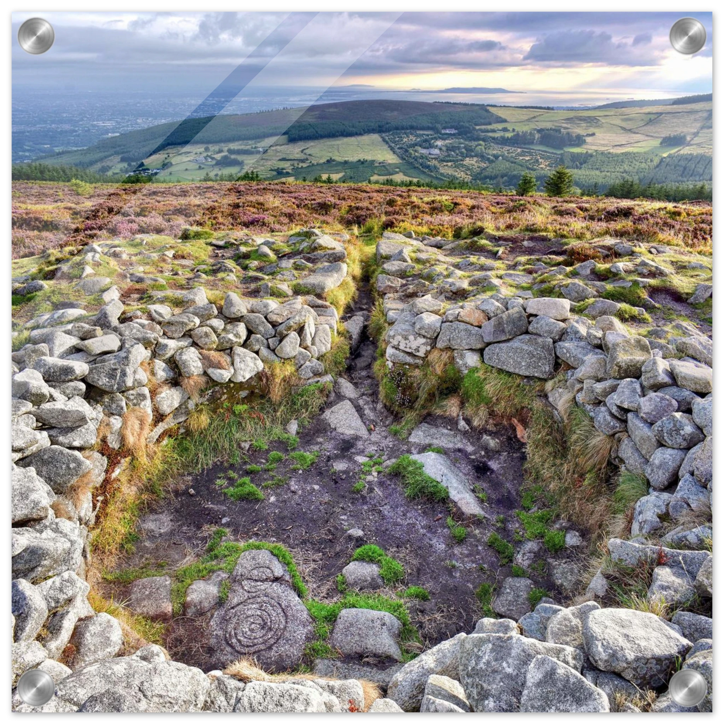 2473cba6-38d8-4a91-85a2-49a02327447b