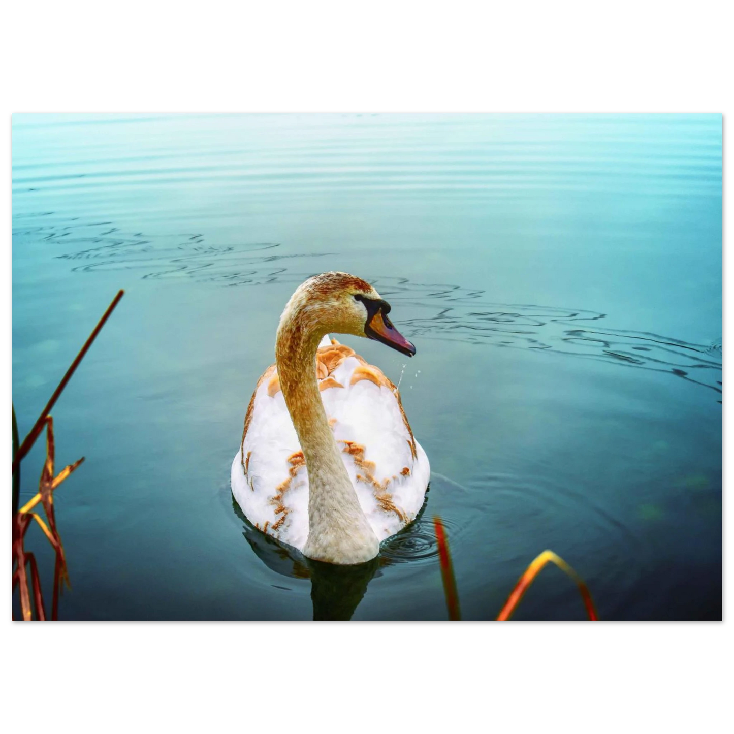 24a109b7-bf65-47cd-b61a-f535940e9de2