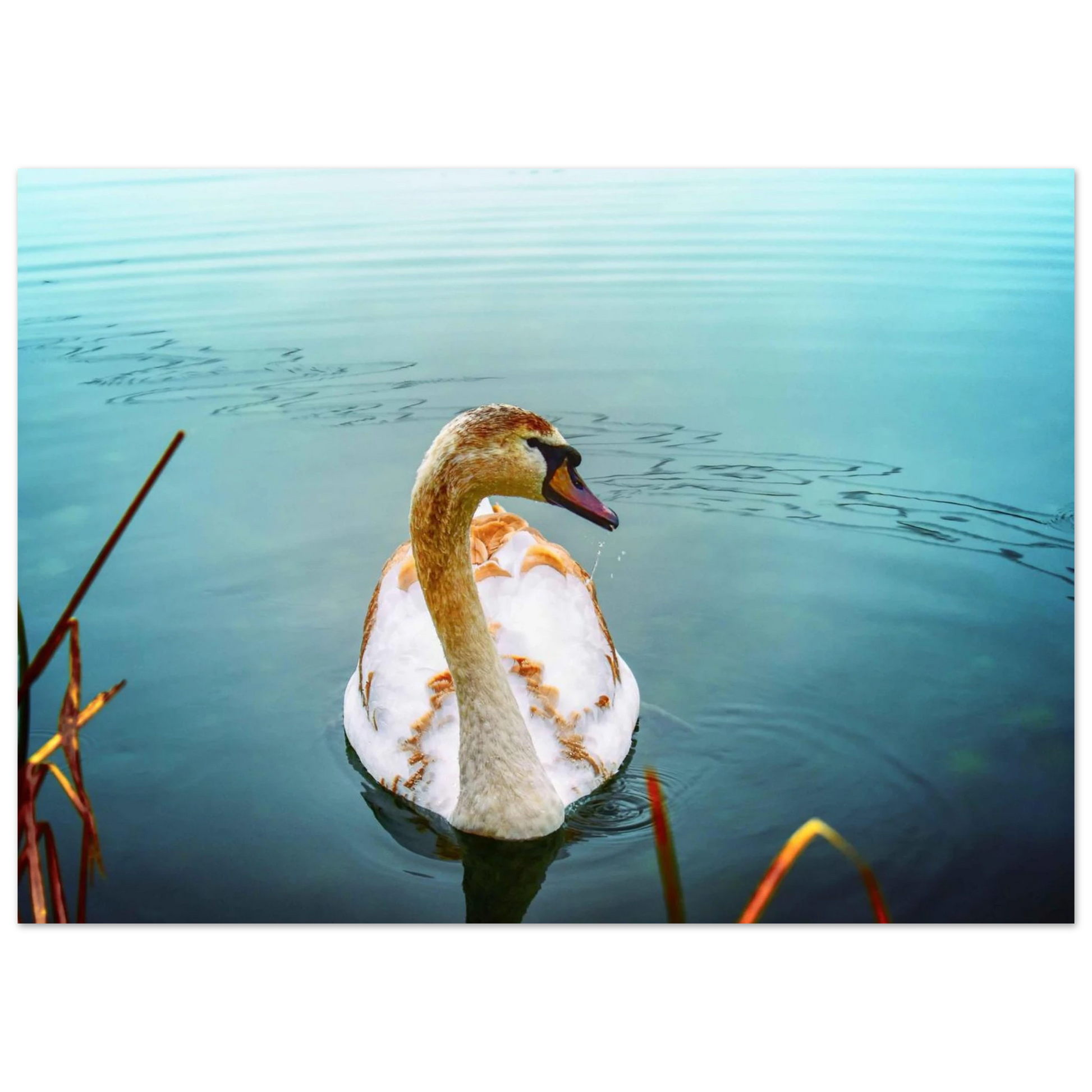 24a109b7-bf65-47cd-b61a-f535940e9de2