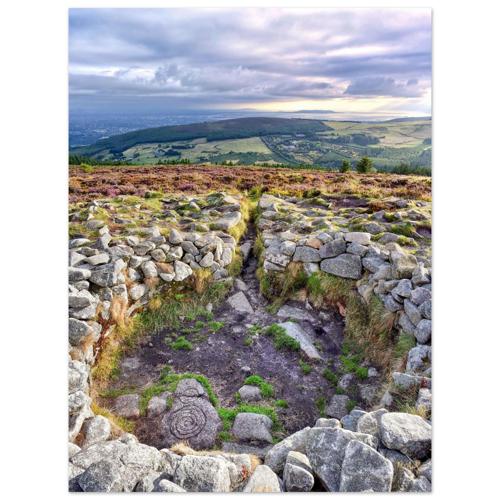 2528b3e1-0f88-497f-85c4-8a6c059218ef