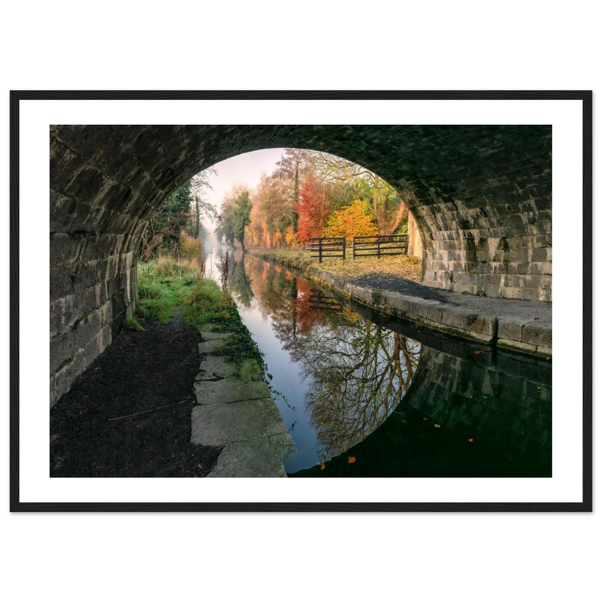 252e4605-0735-4a96-bc38-f5f62b52f310