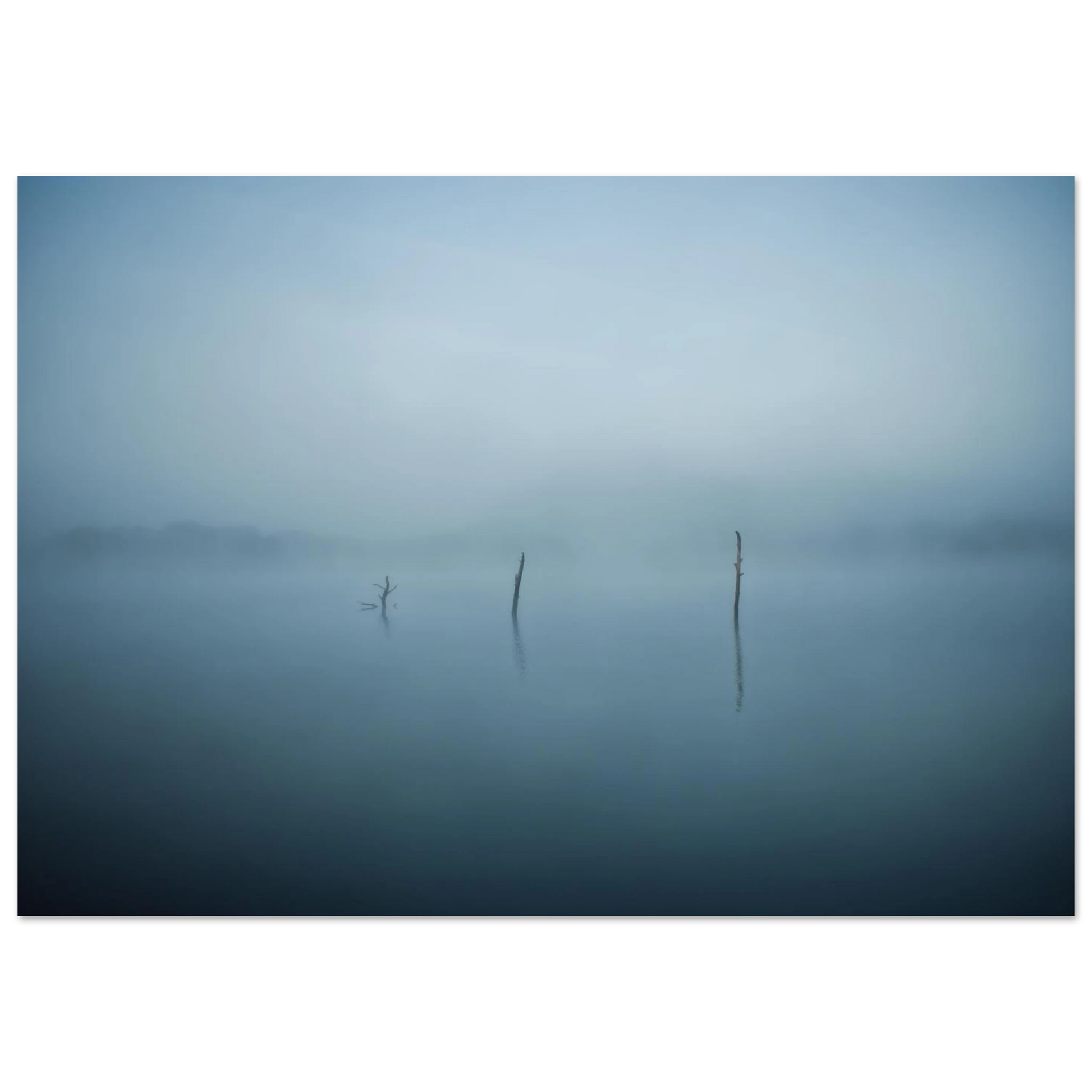 25356cab-6d5f-46f3-be6a-33e679802e4e