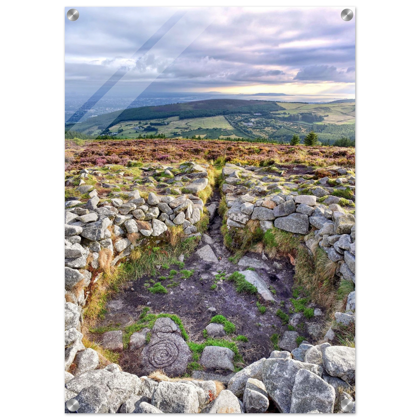 258c0b16-4b33-47e6-b7cc-0ed790b8c35d