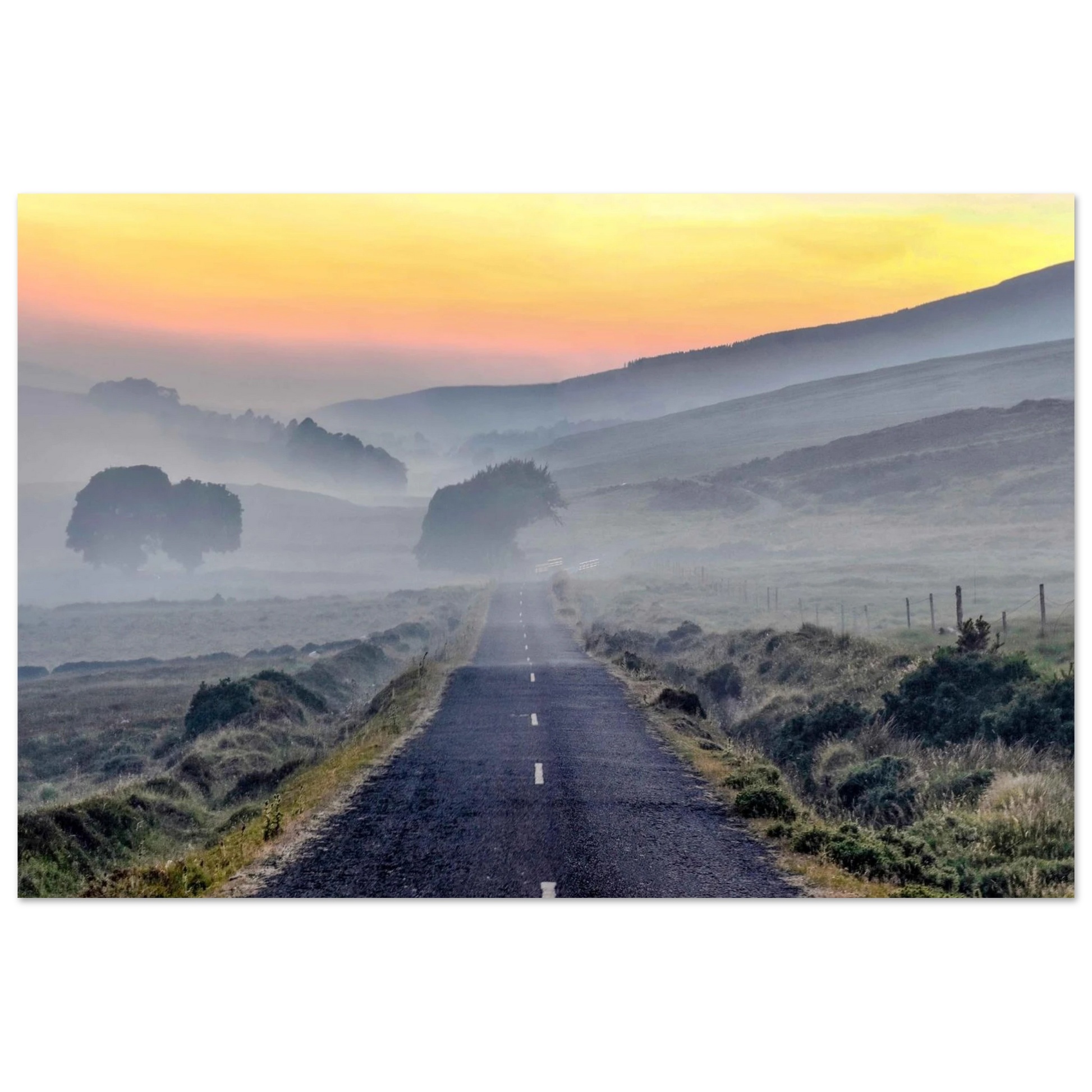 258db662-e3ea-43ae-9ff4-69d0ccb8b8f1