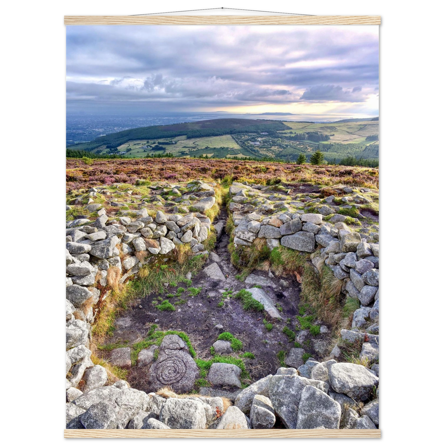 25c57ee9-ffe0-4d98-9263-a09e184bae8b