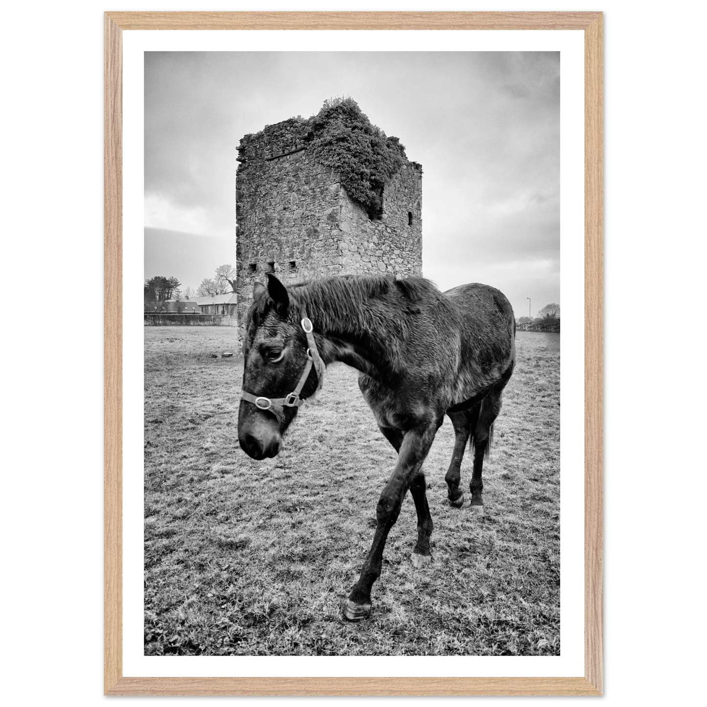 25f512dd-1835-43eb-a1b8-335a5fcf4ea3