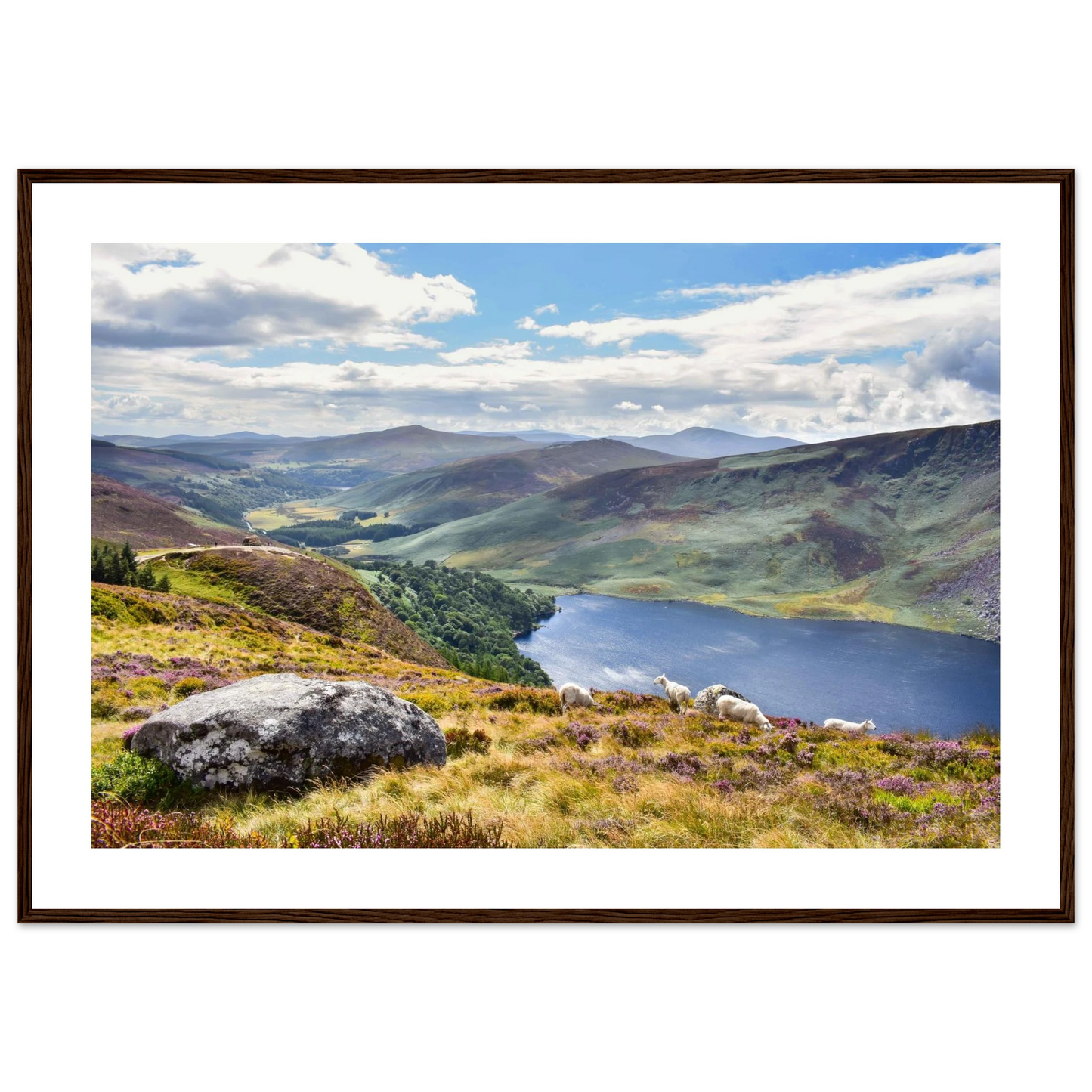 26438b0e-07ff-49be-939c-2711b7da2390