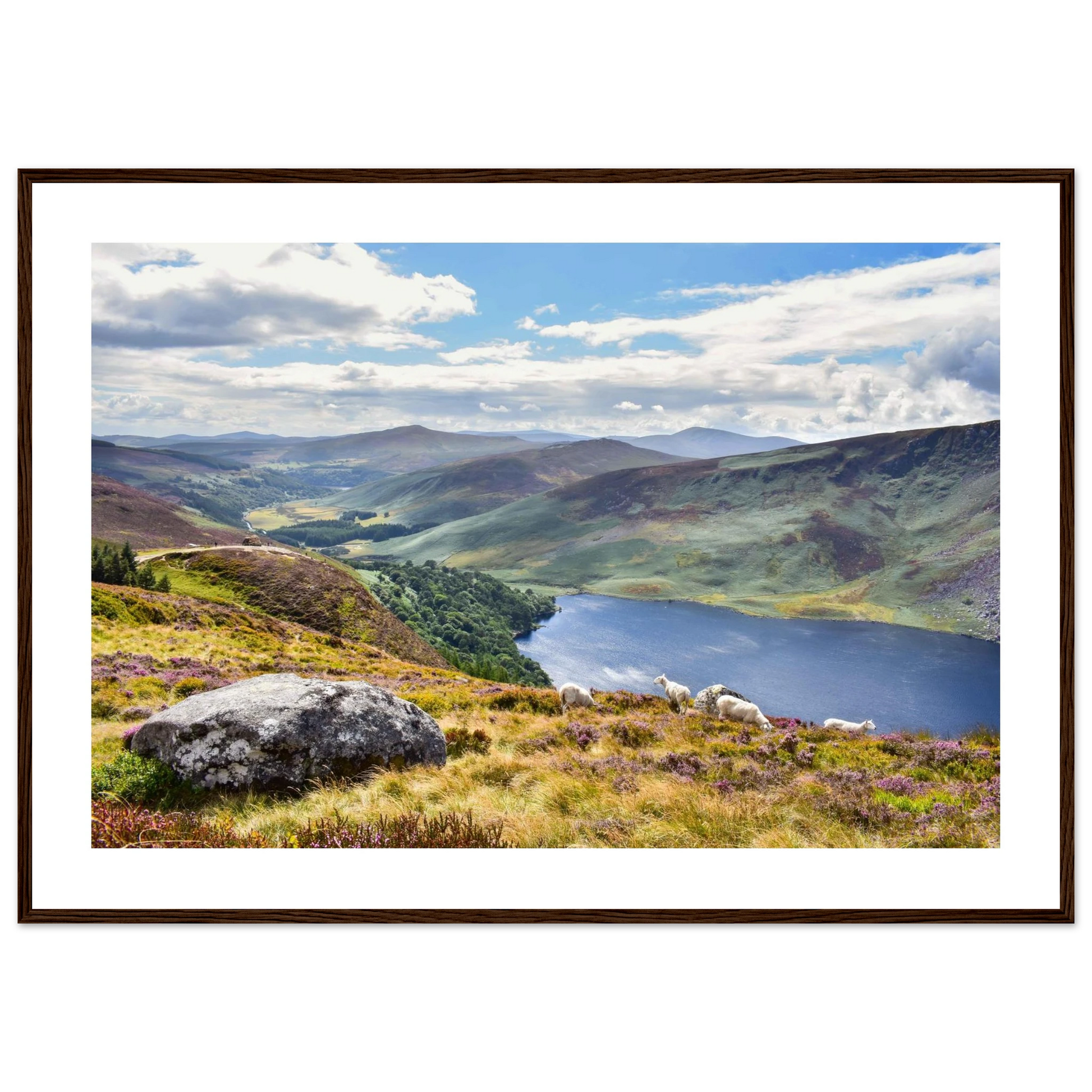 26438b0e-07ff-49be-939c-2711b7da2390