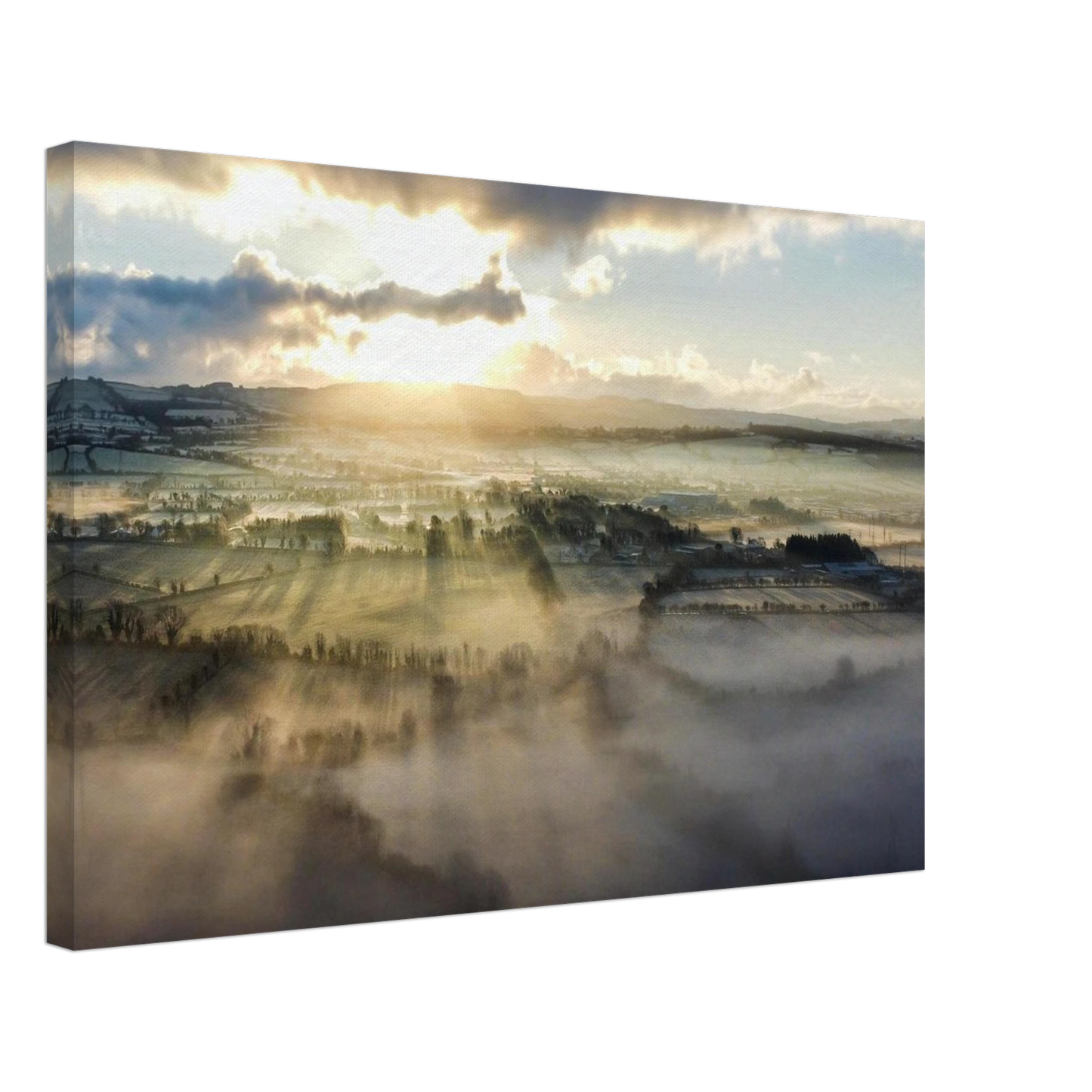 2675e111-d722-4146-b76e-4731c8a8a8db