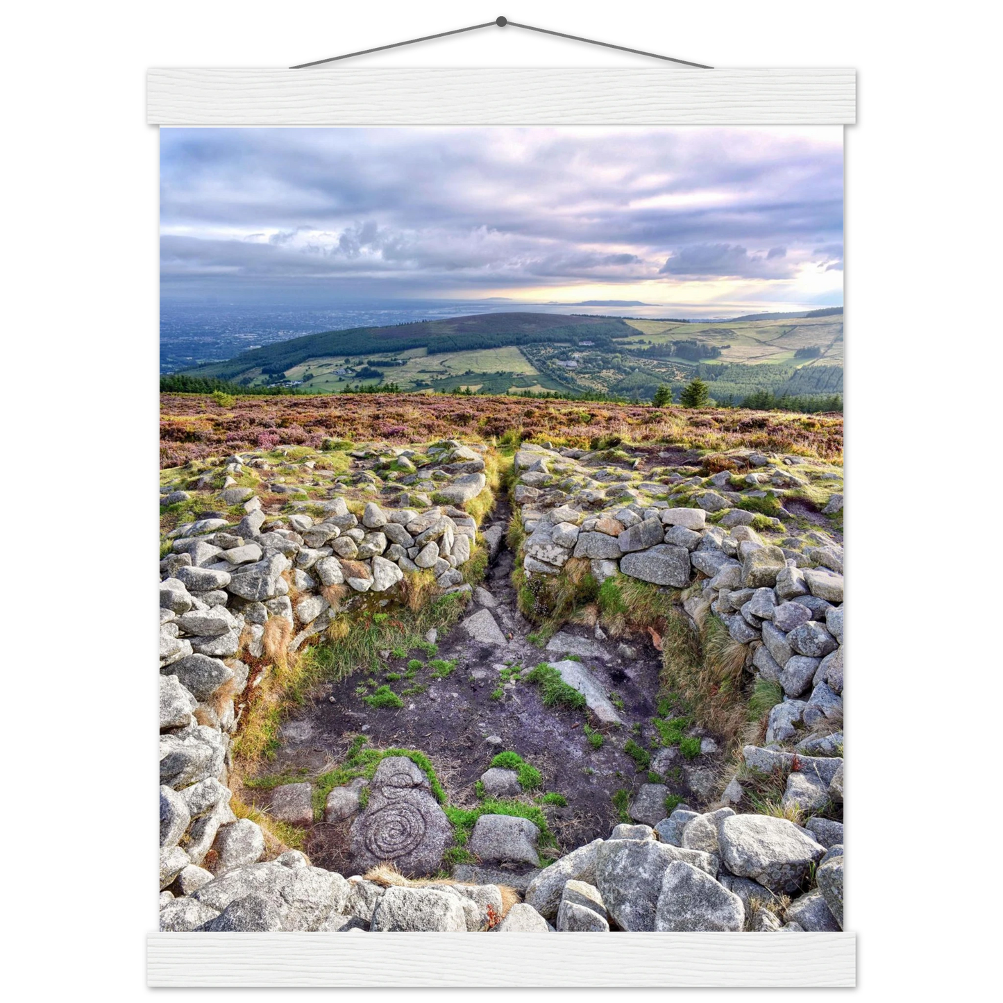 26916ad4-5f47-489e-a134-11f9cccb4e7c