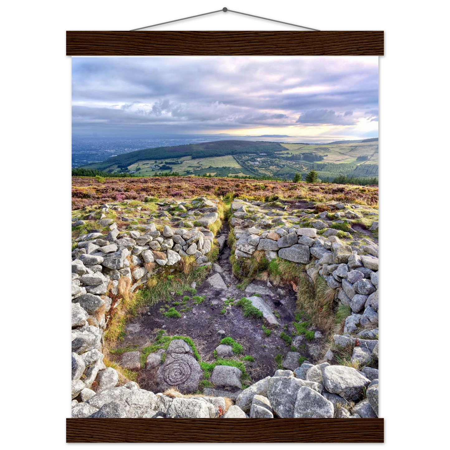 26deedc0-27f5-48e5-8245-a8f4b6d53145