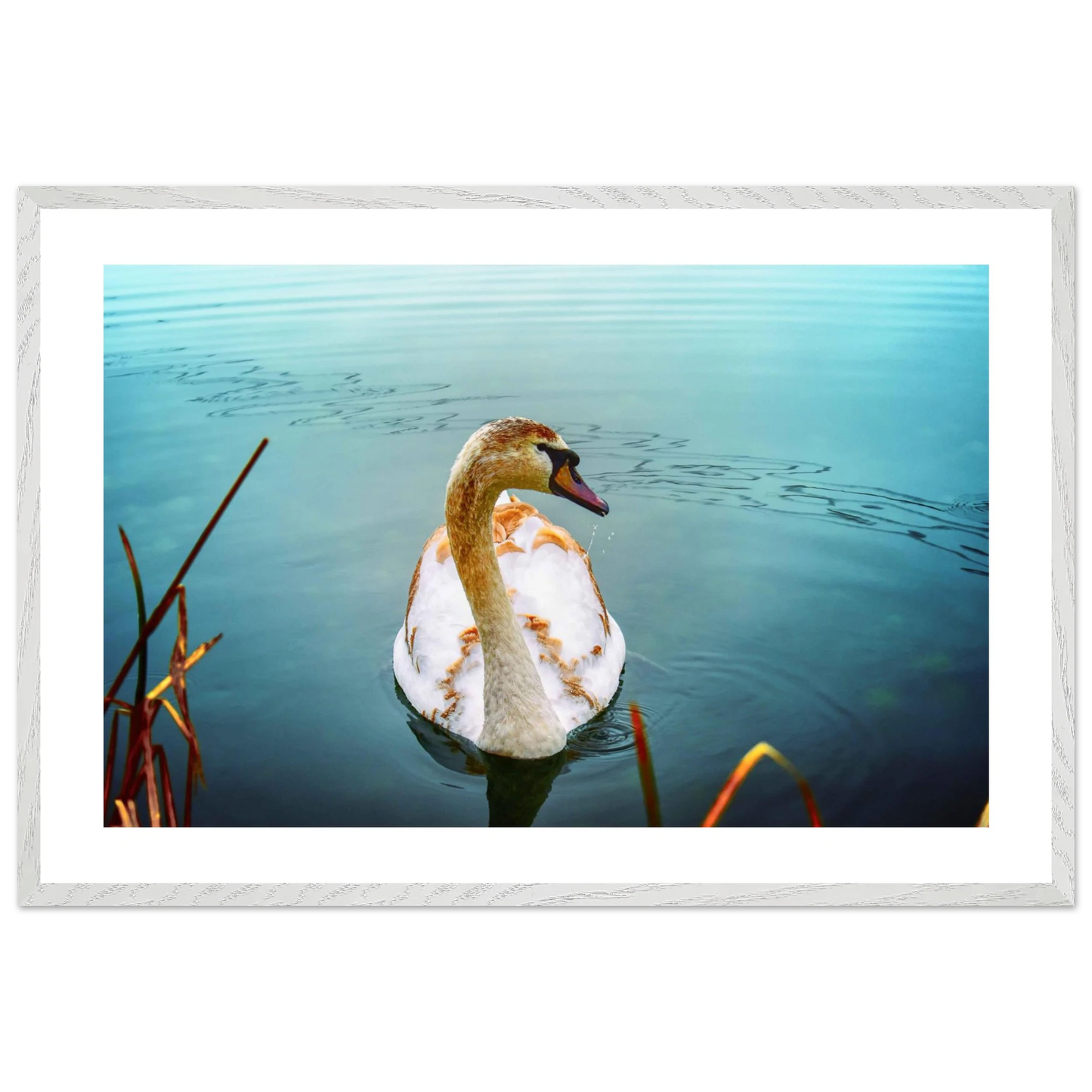 270a03f4-b405-4055-987d-ec3e86f22048