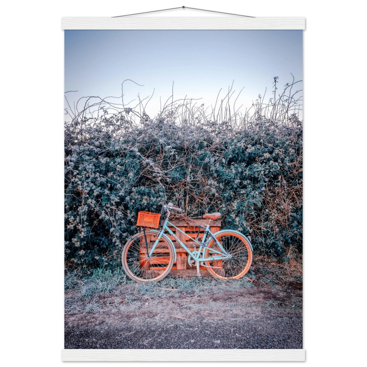 27383e14-7eb9-462e-bcfd-1591c4859f39