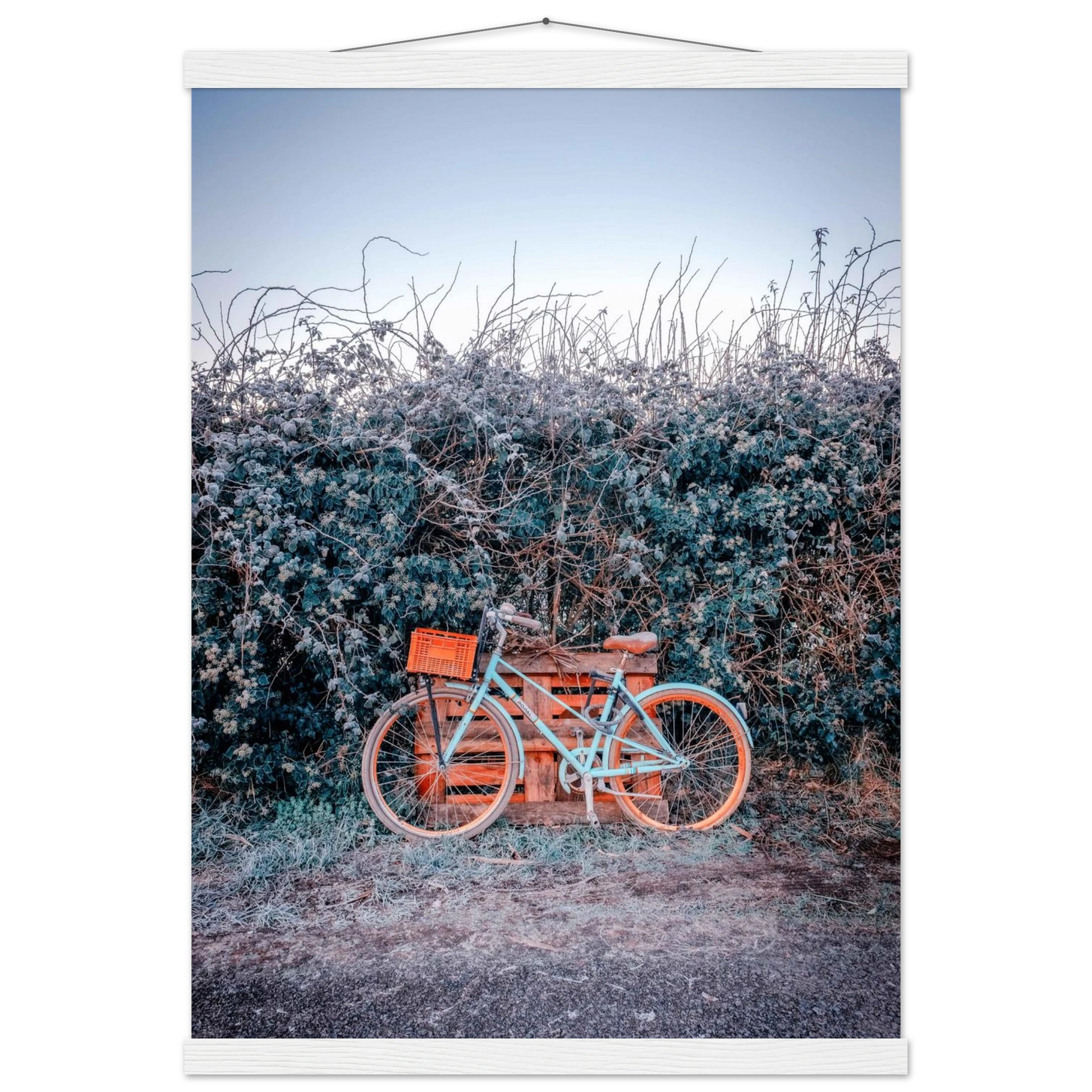 27383e14-7eb9-462e-bcfd-1591c4859f39