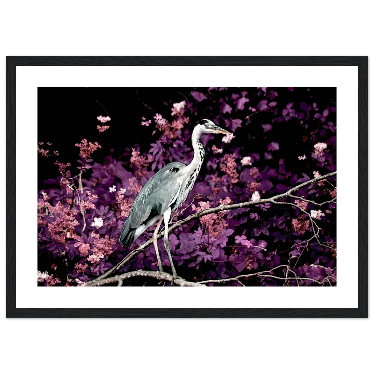 275c6a54-19f3-4922-abda-ad82293bb11f