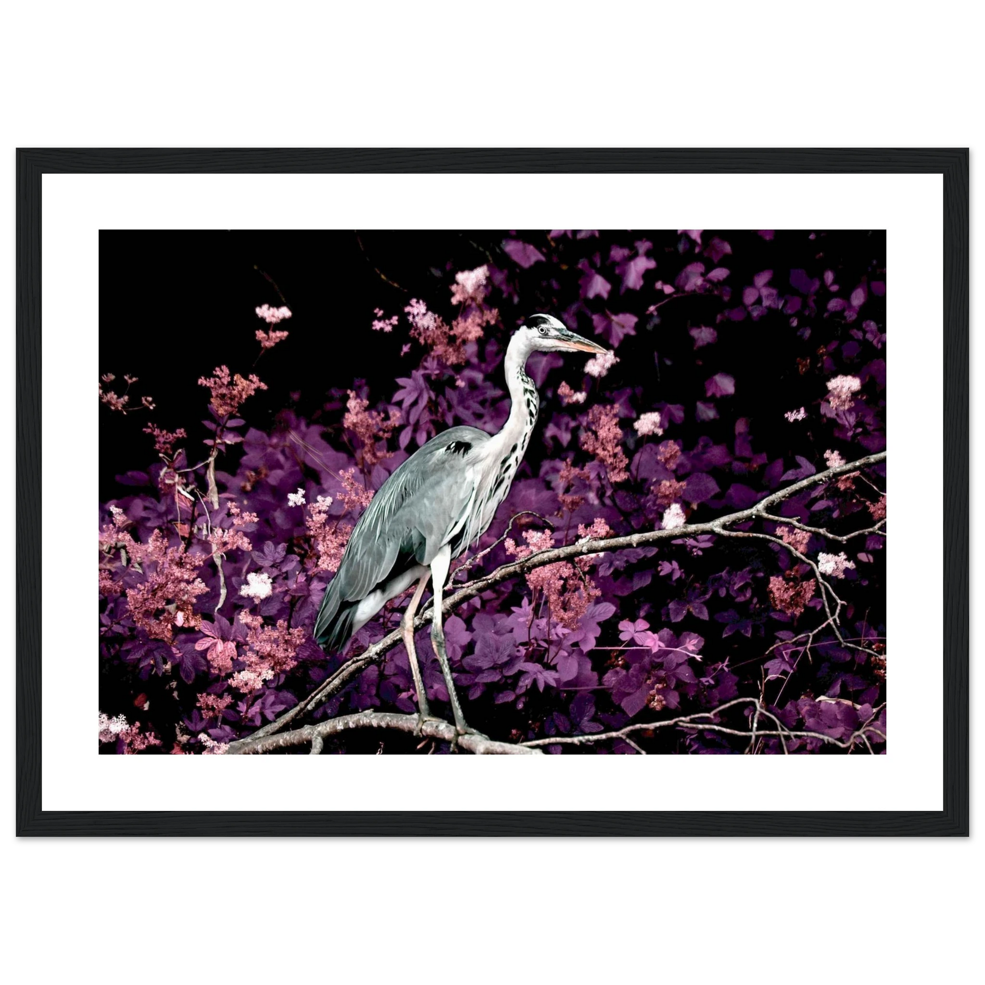 275c6a54-19f3-4922-abda-ad82293bb11f