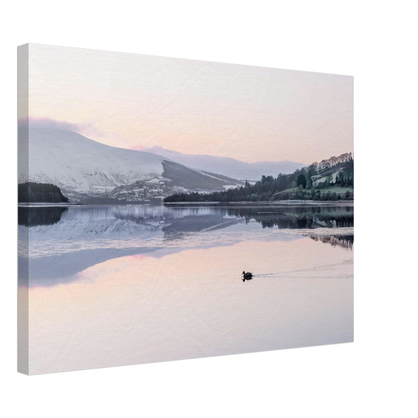 27c396ba-ddcb-426b-bec7-f9e4026bb741