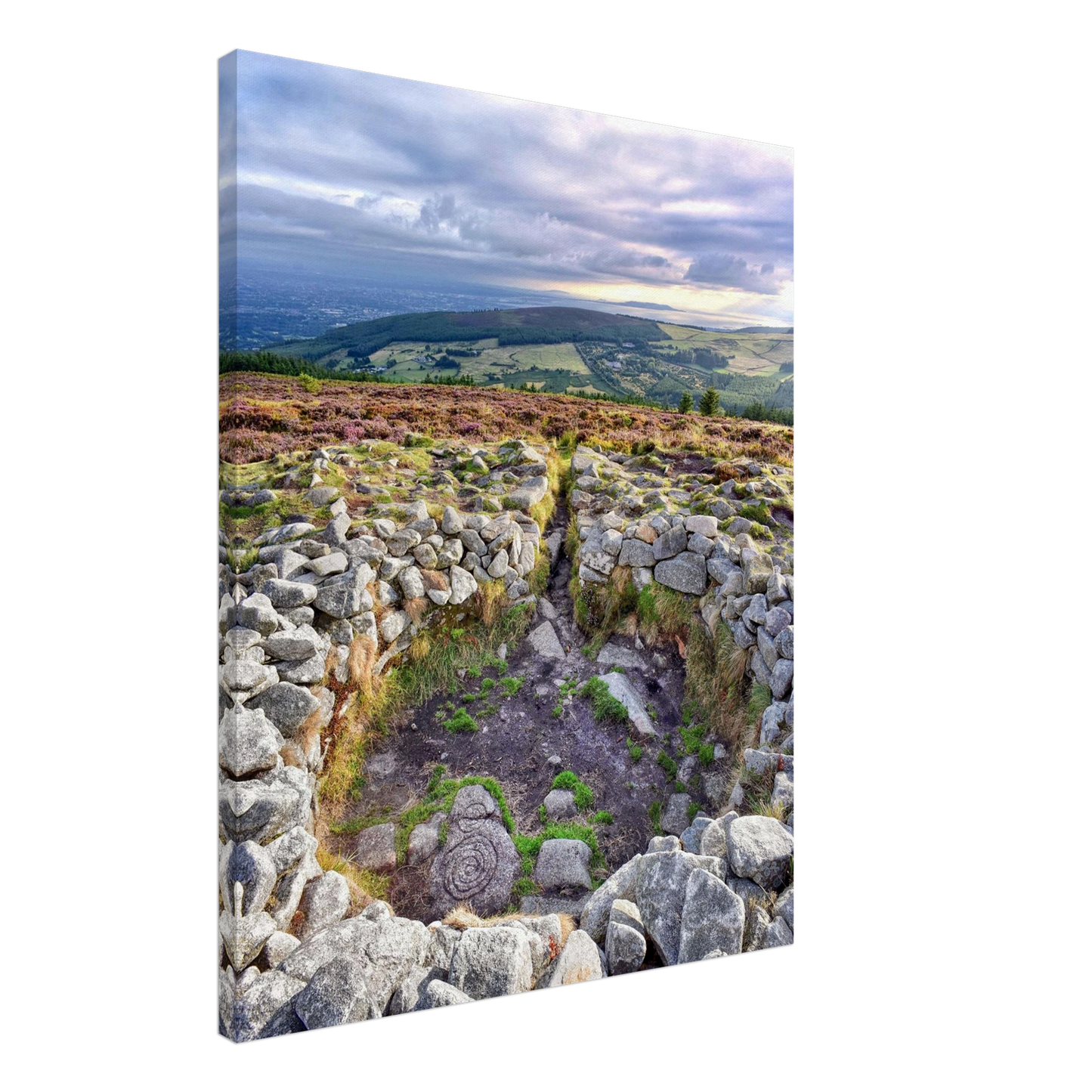 2823d722-93e0-49de-a6ef-e9ef35707481