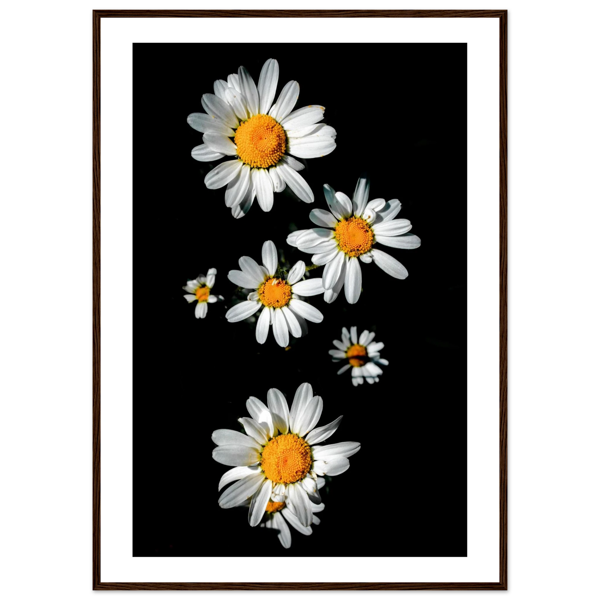 282fa773-b968-4e14-9d20-9abe828d3ad0