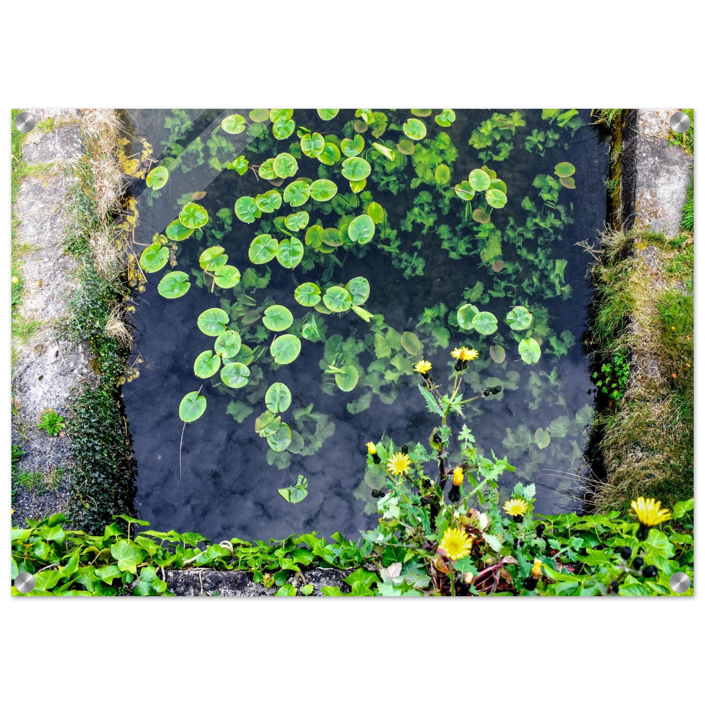 2871ec90-8fbe-4bbb-9cf3-c592b4b73881