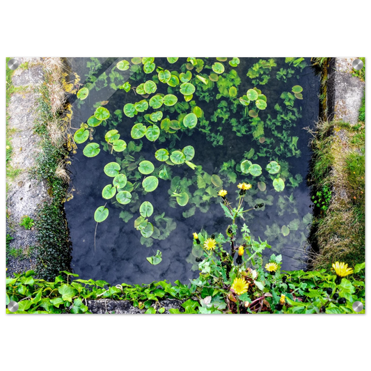 2871ec90-8fbe-4bbb-9cf3-c592b4b73881