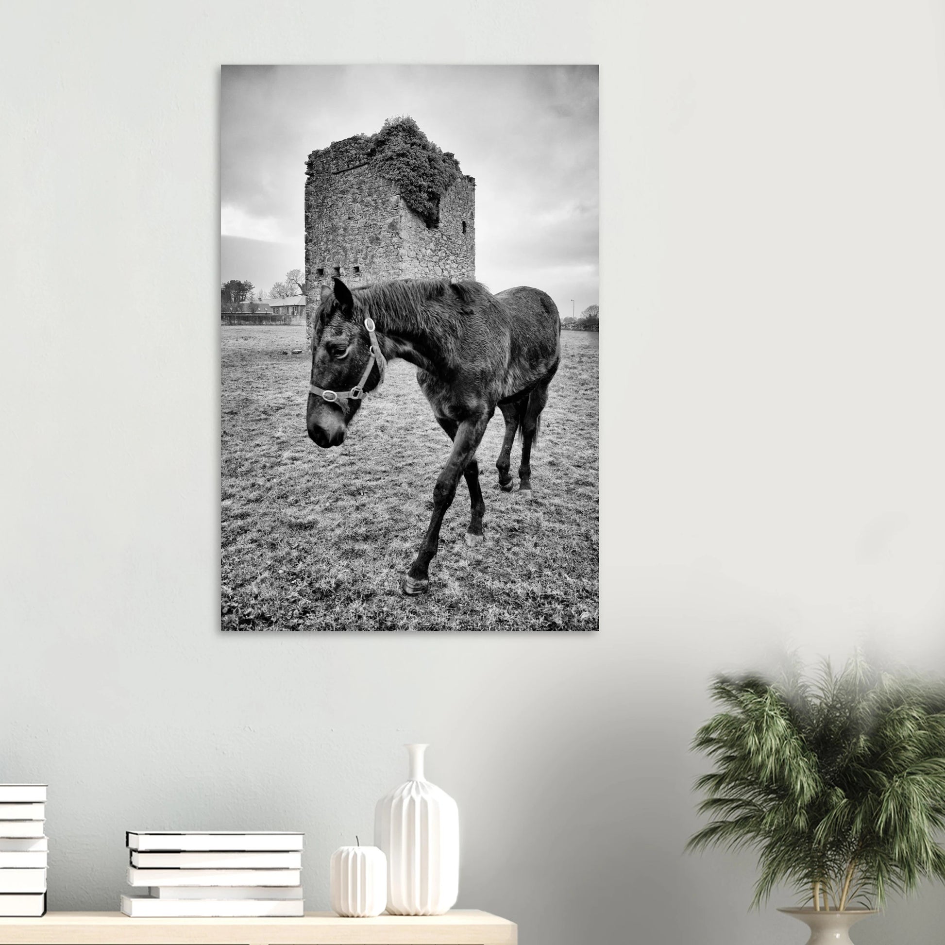 28b3034e-b36a-479e-afcb-338103fd1d31