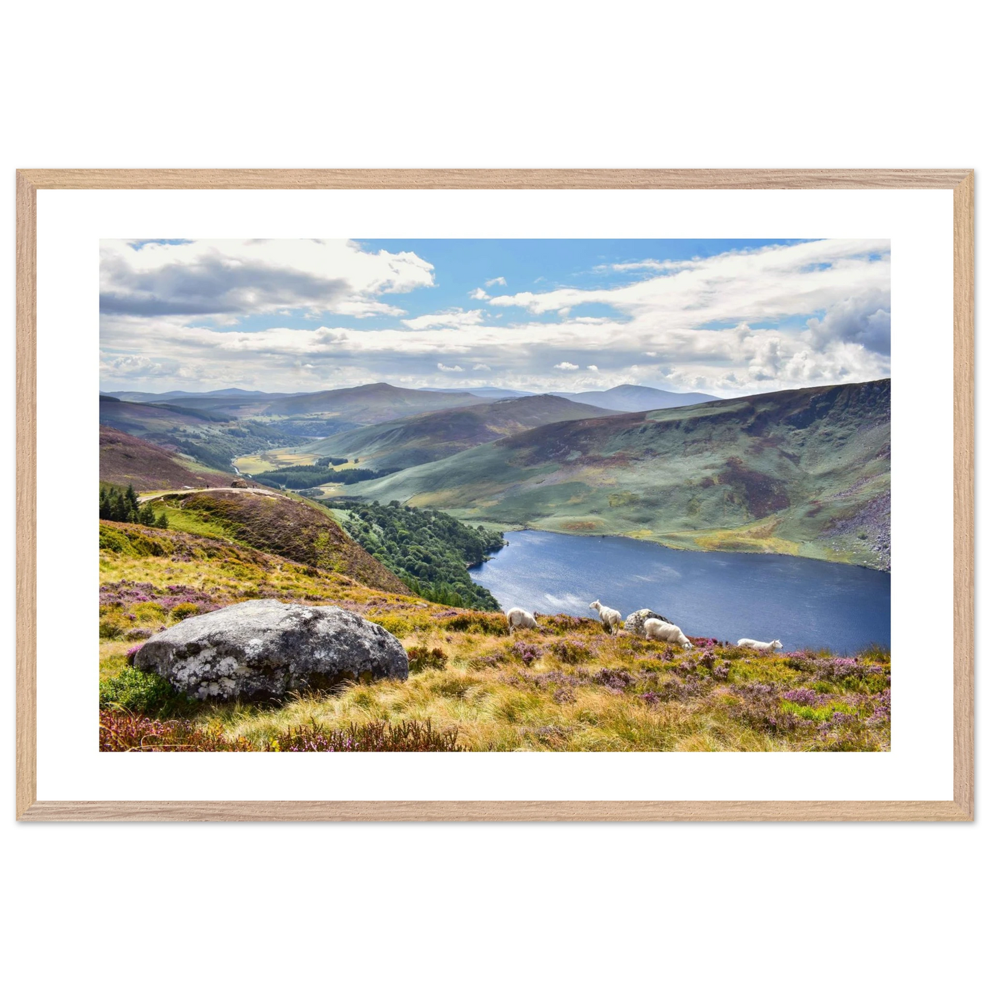 292208cb-ab02-44f6-8d9b-cac4d8dde80b