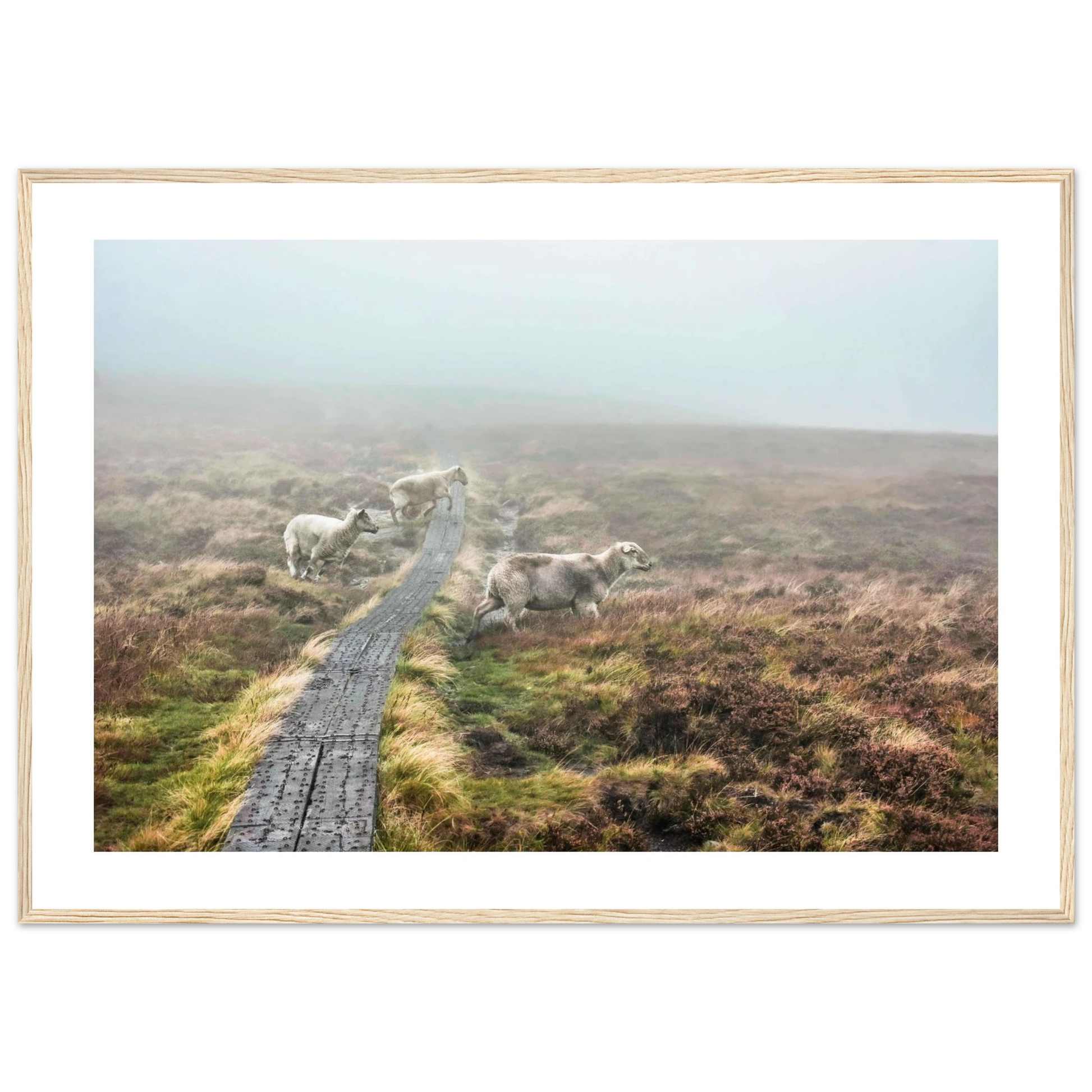 2931e7f8-b2e0-4bc7-b35a-615f1ba5c686