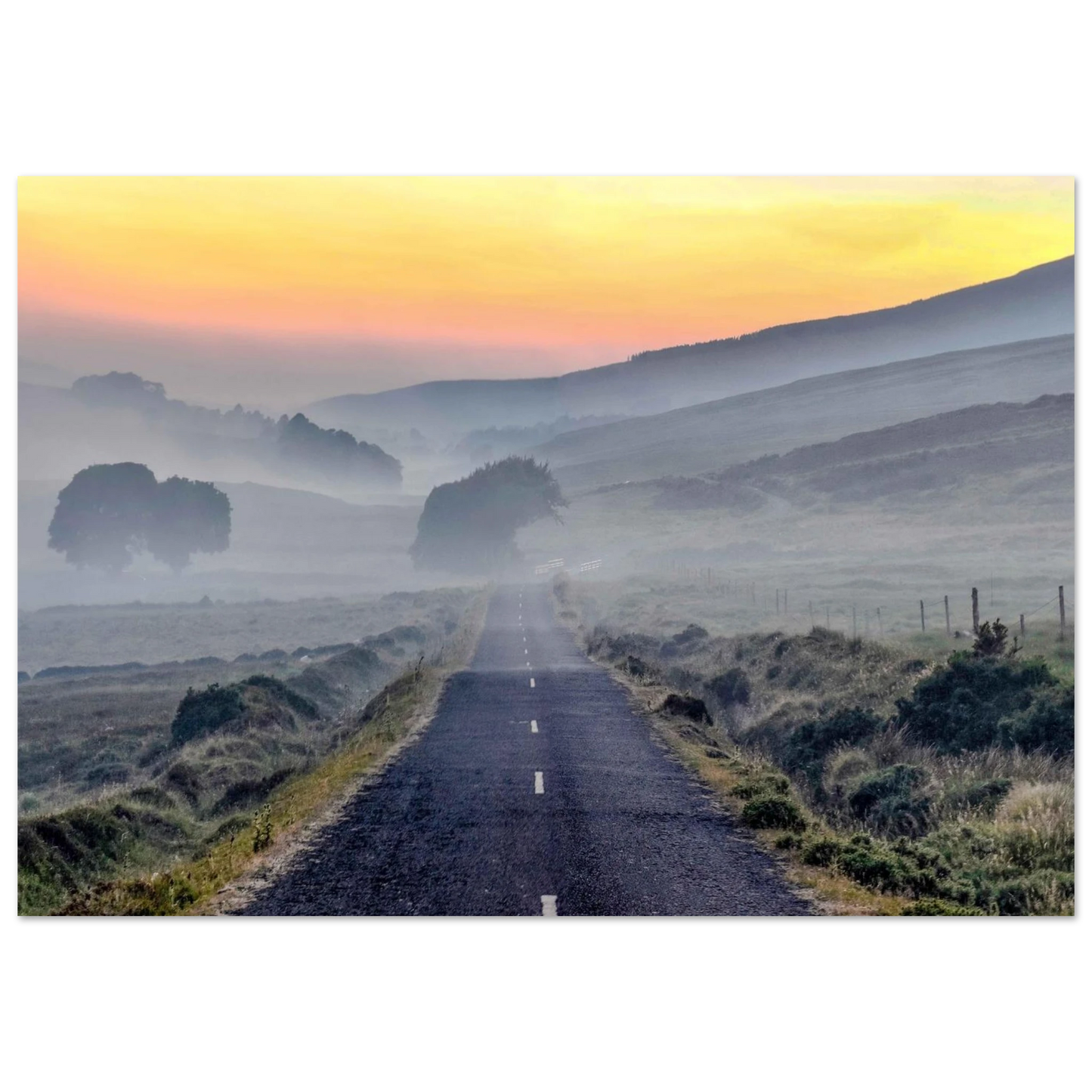 2976ac12-2010-4f6e-bd9d-e651fb62a0a1