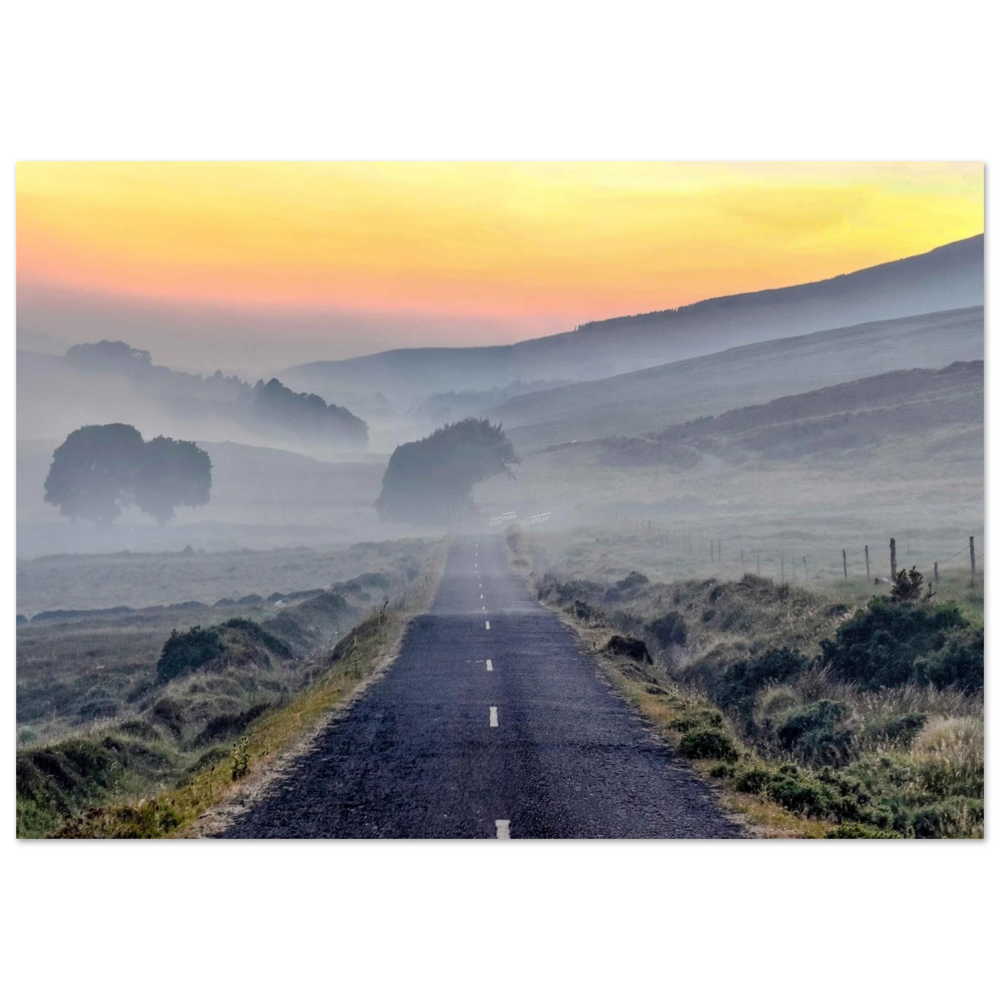 2976ac12-2010-4f6e-bd9d-e651fb62a0a1