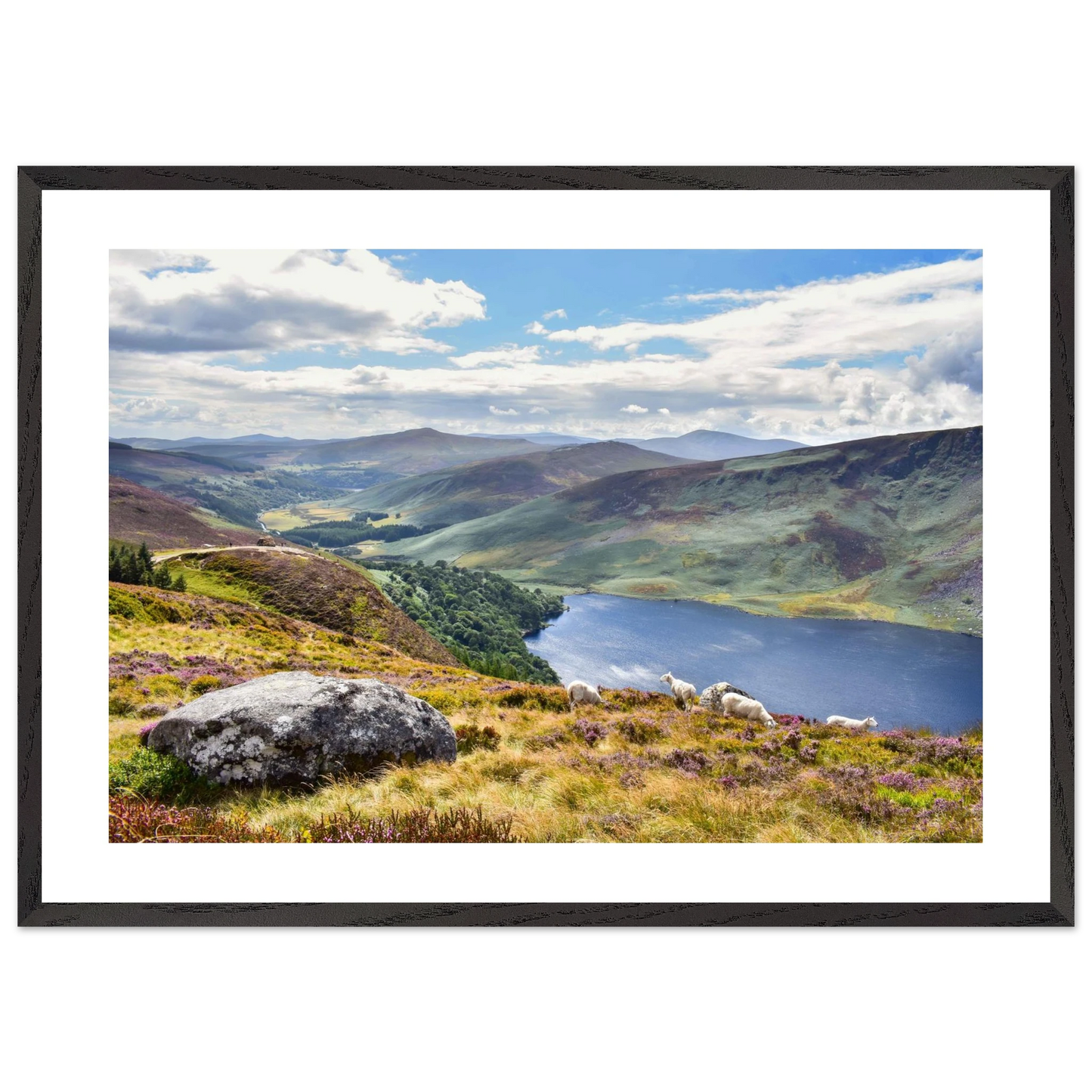 2a02576f-ce8f-4f3e-81ca-37be12dc7955