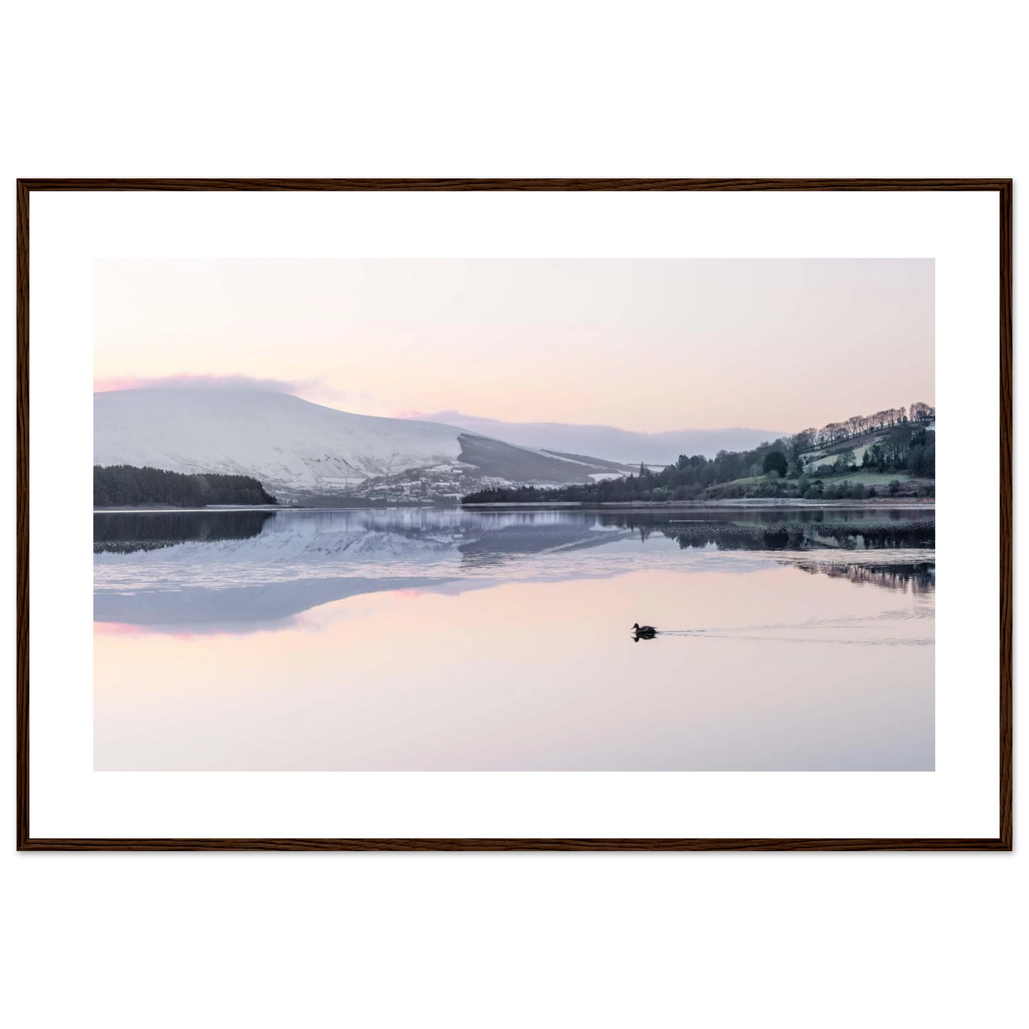 2aa29a82-c096-432b-a5f3-15f3256609da